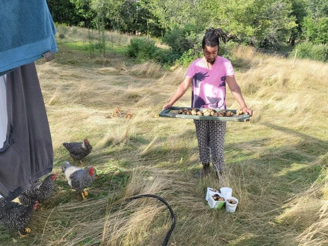 Doctors are writing scripts for food shares.