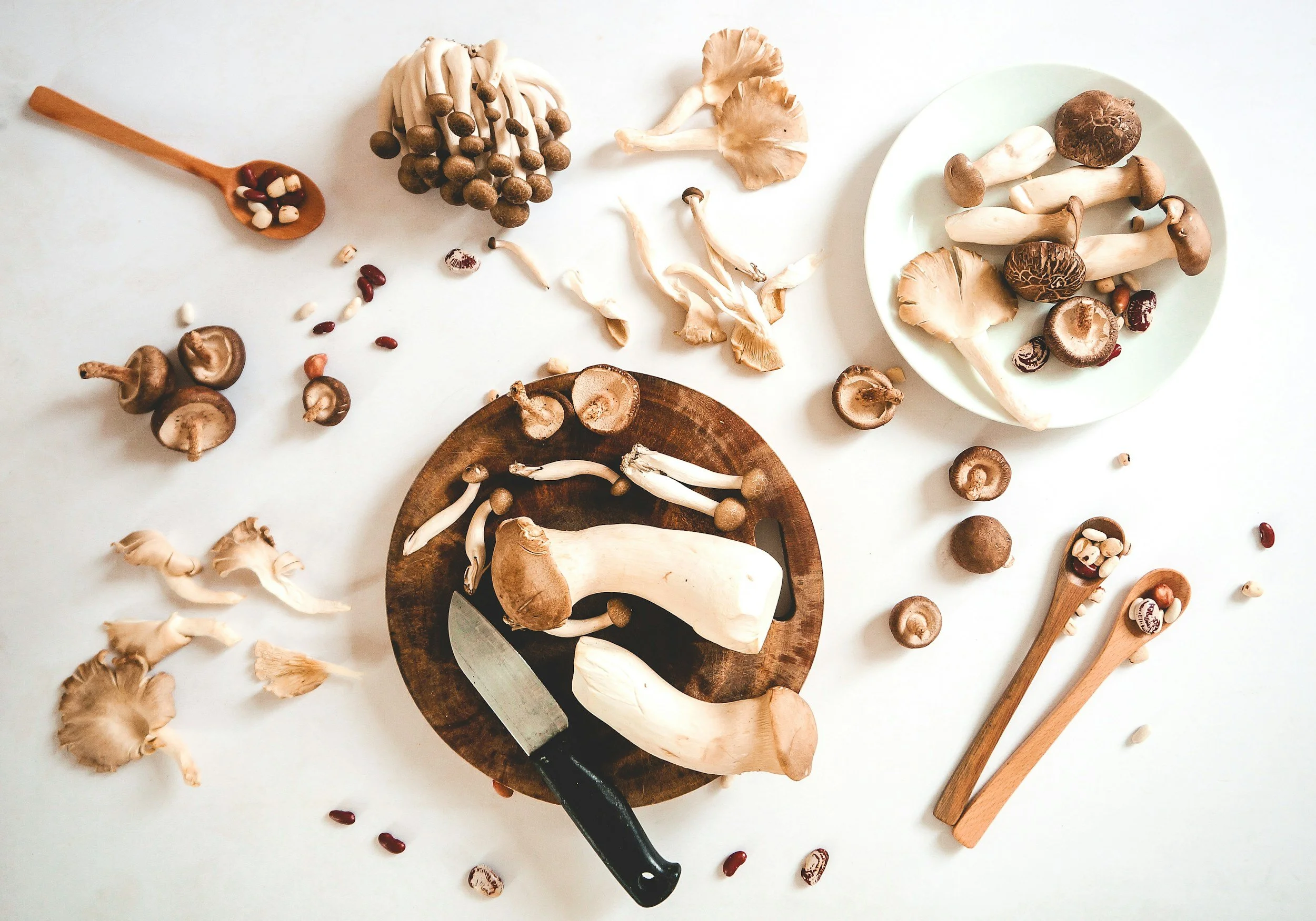 Some mushrooms you can eat…. 