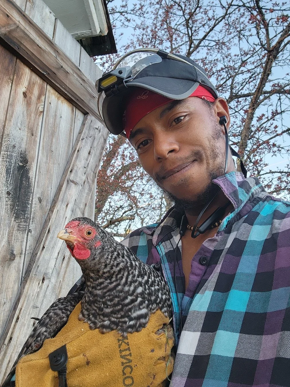 Man holding a chicken outdoors, wearing a plaid shirt, a headlamp, and a red bandana, with trees in the background.