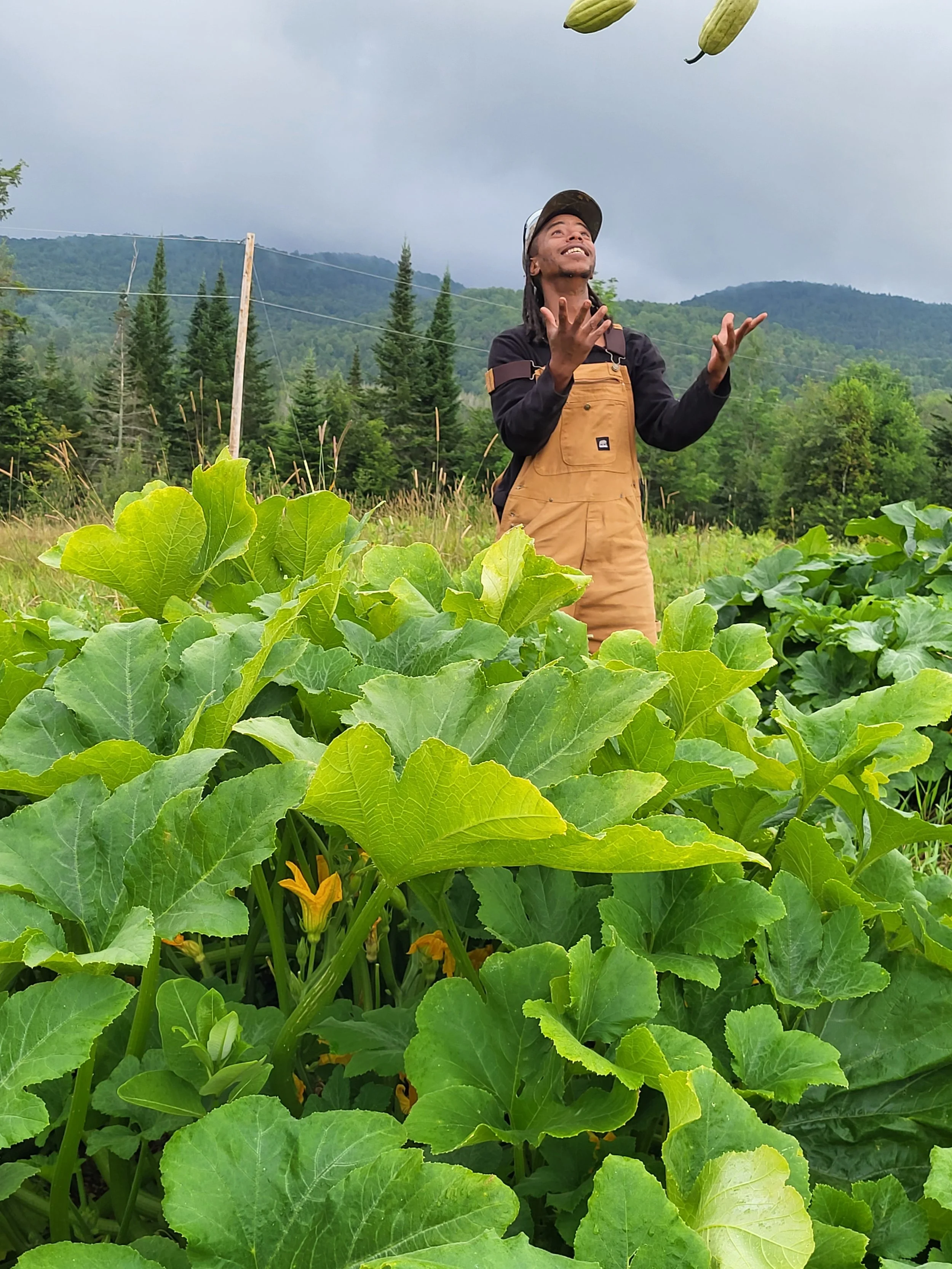 A man in overalls juggles two green zucchinis in a garden surrounded by leafy plants, with a mountain and trees in the background.