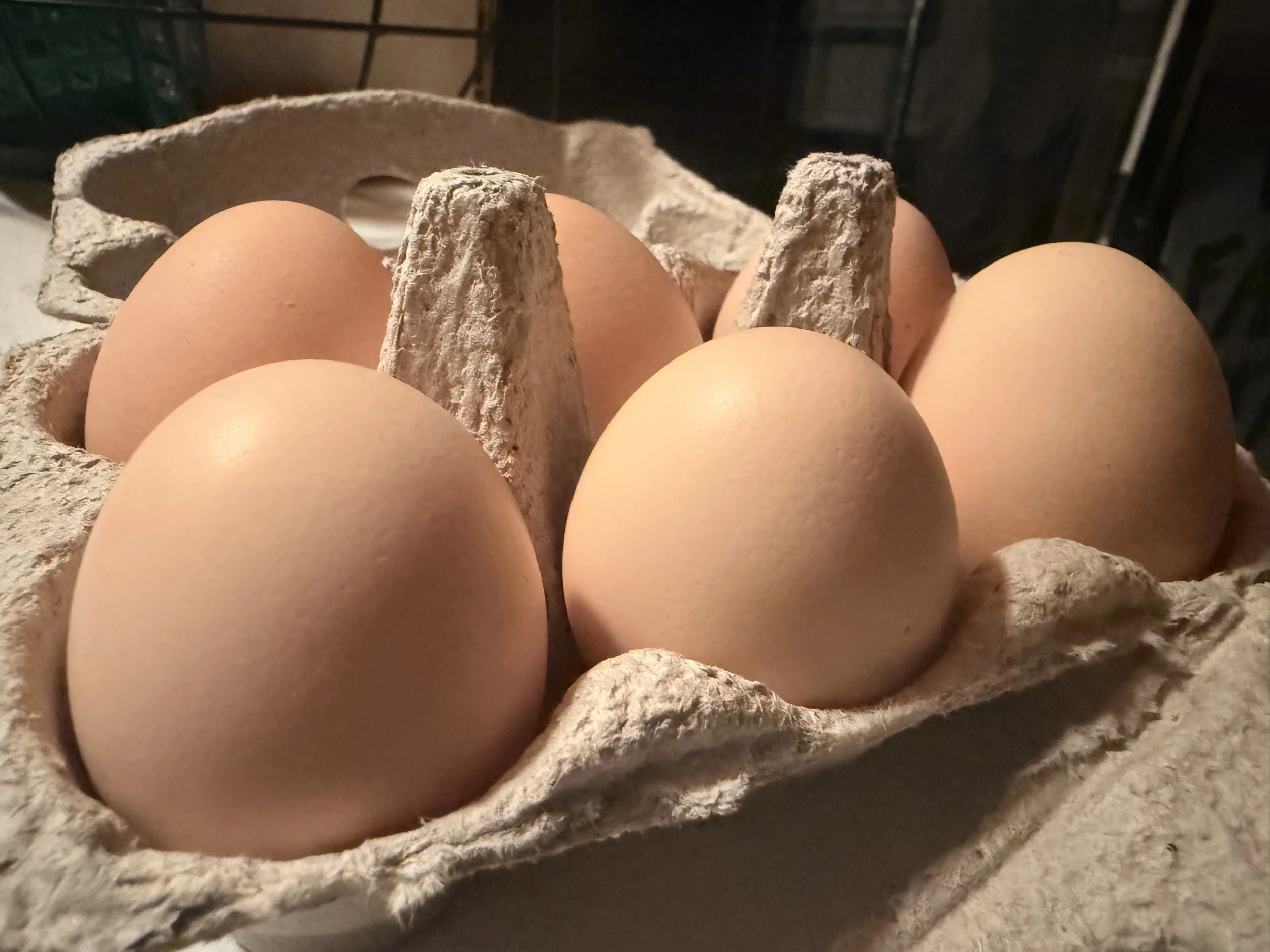 Farm Fresh Eggs