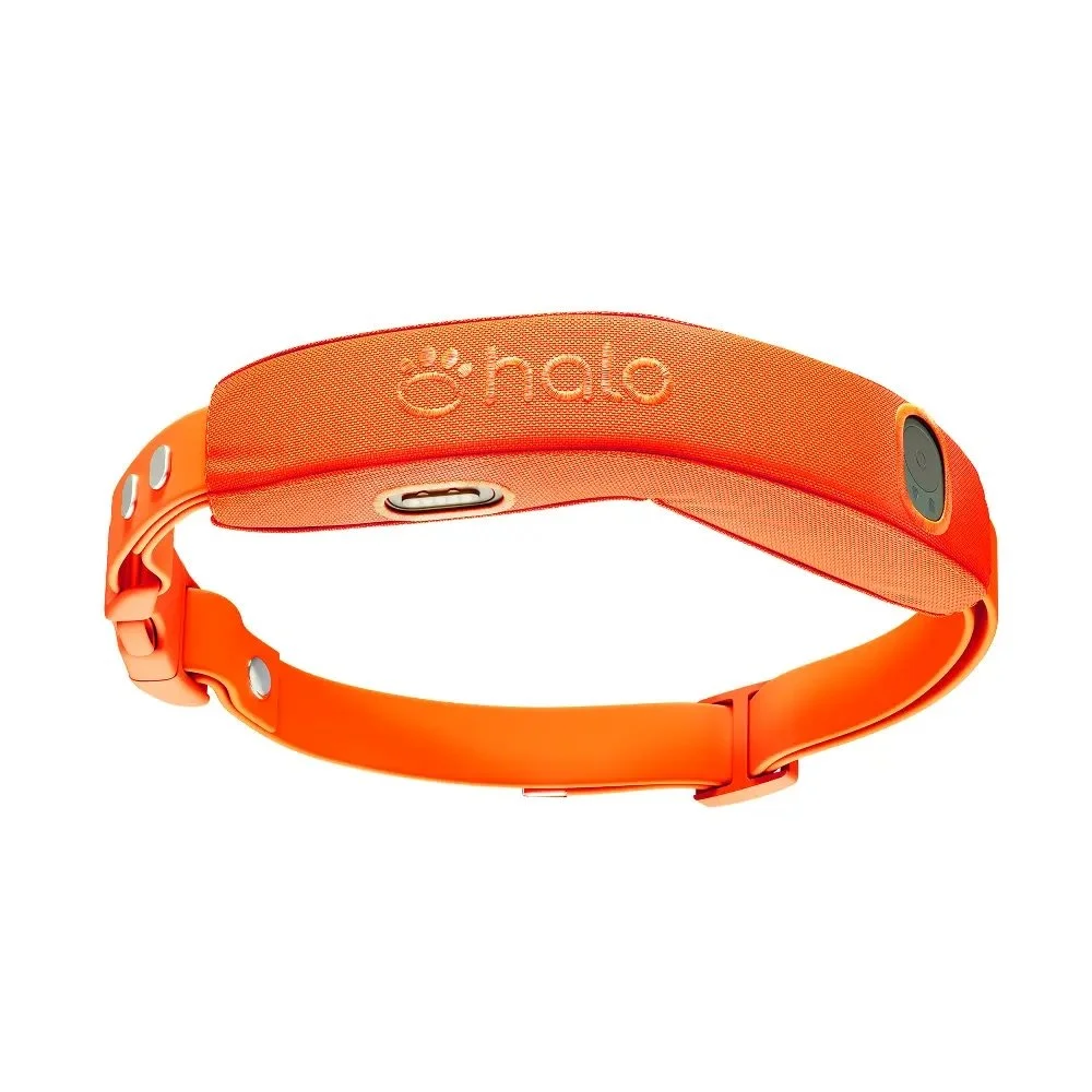 Halo Collar GPS