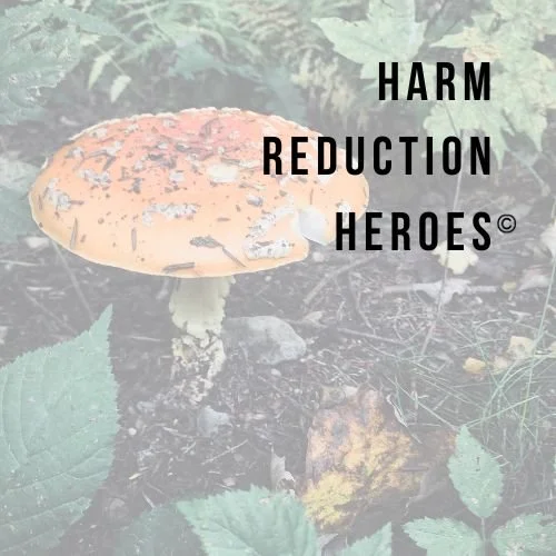 Virtual Harm Reduction Heroes Mission Log