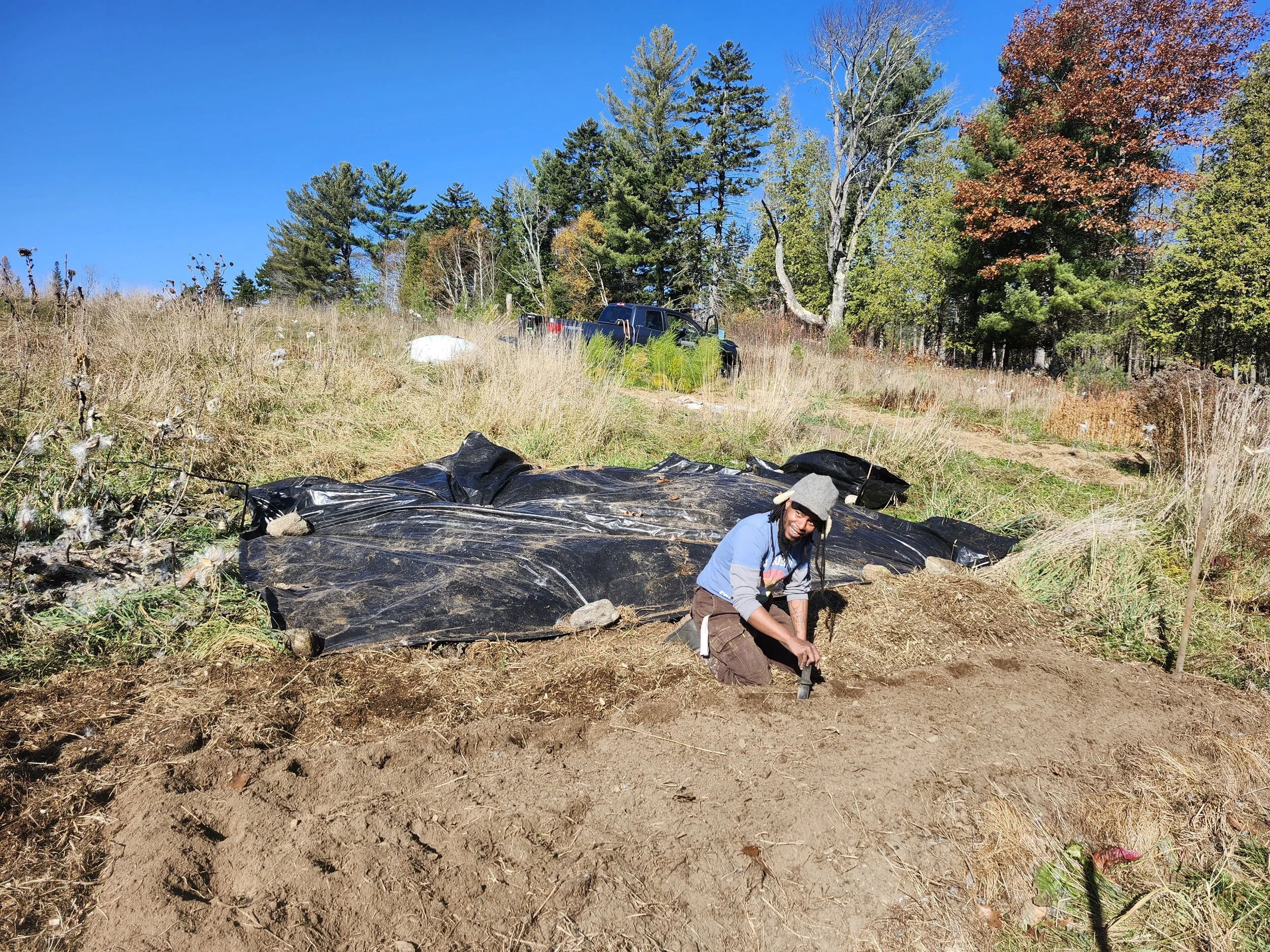 A person working in a garden or farm, kneeling on the soil with a gardening tool, near a black tarp covering part of the ground, with trees and a vehicle in the background on a sunny day.