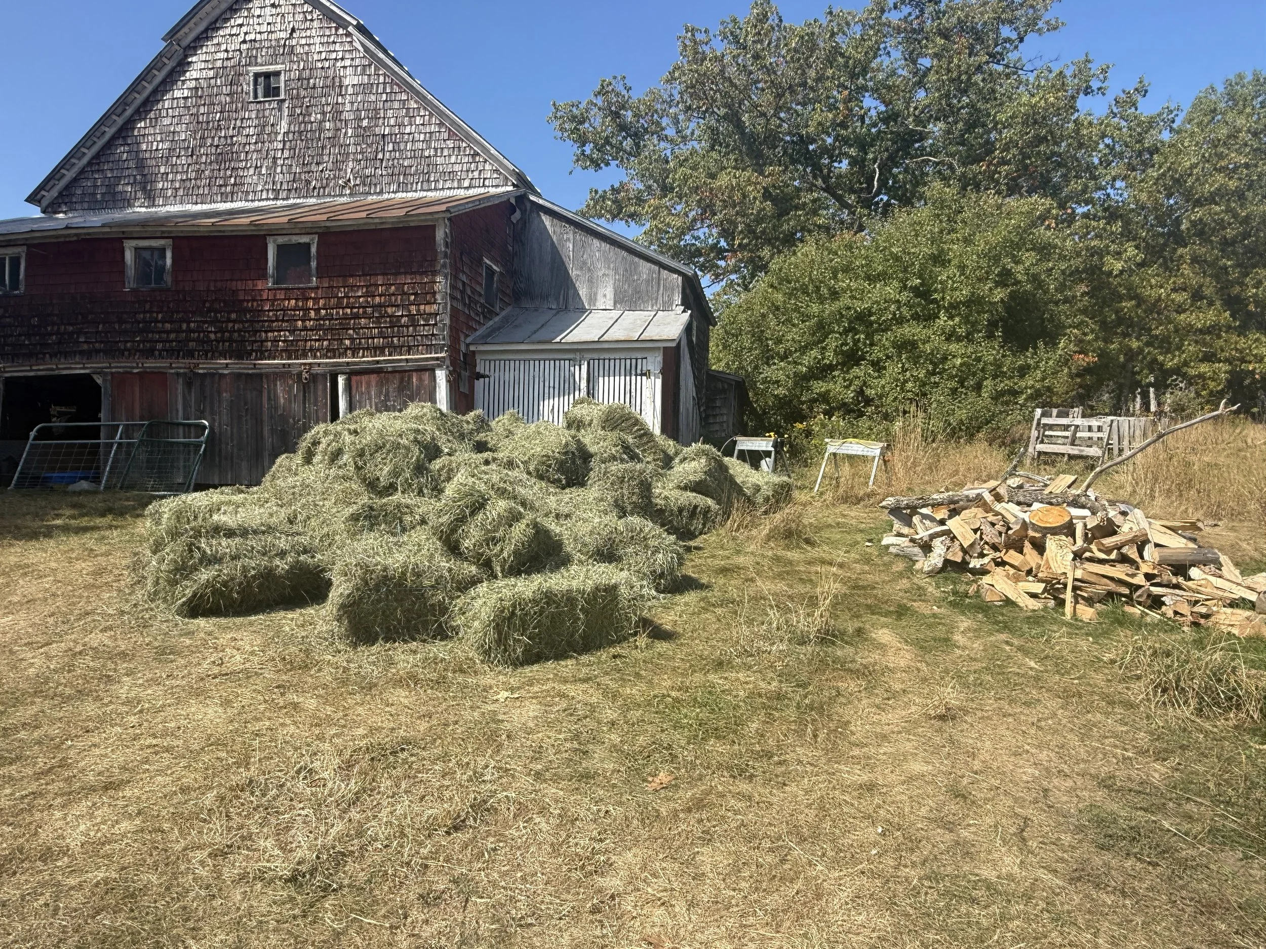 A weathered barn with red and gray wood siding, surrounded by hay bales, chopped firewood, and trees on a sunny day.