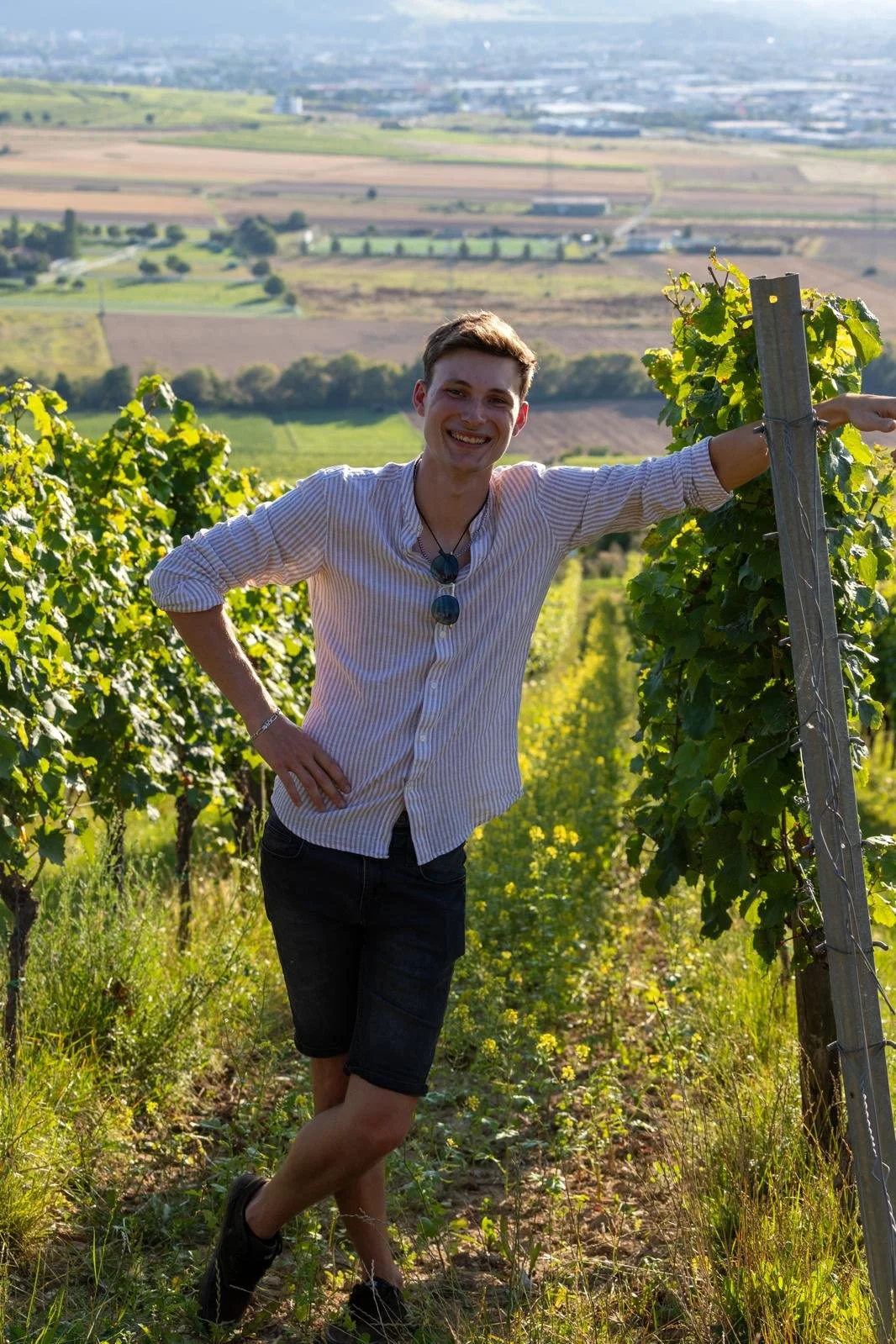Ein junger Mann steht in einem Weinberg und lächelt in die Kamera, mit grünen Weinreben um ihn herum und einer ländlichen Landschaft im Hintergrund.