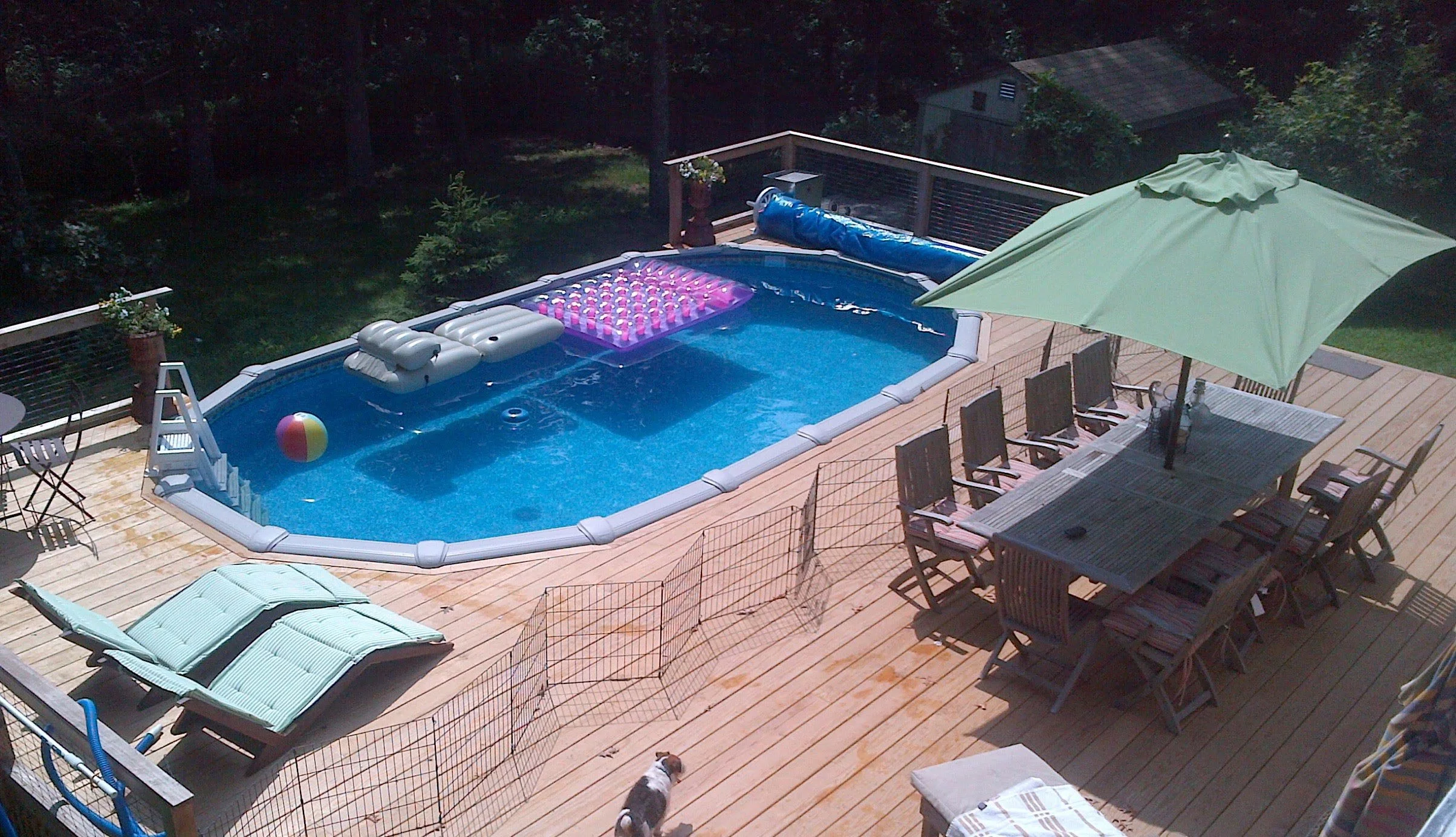 Backyard wooden deck with swimming pool, outdoor dining table with chairs and large green umbrella, lounge chairs, inflatable pool floats and toys, a small dog, and surrounding trees.