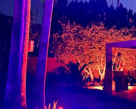 Nighttime scene with trees illuminated by purple and orange lighting, with a patio area and outdoor furniture.