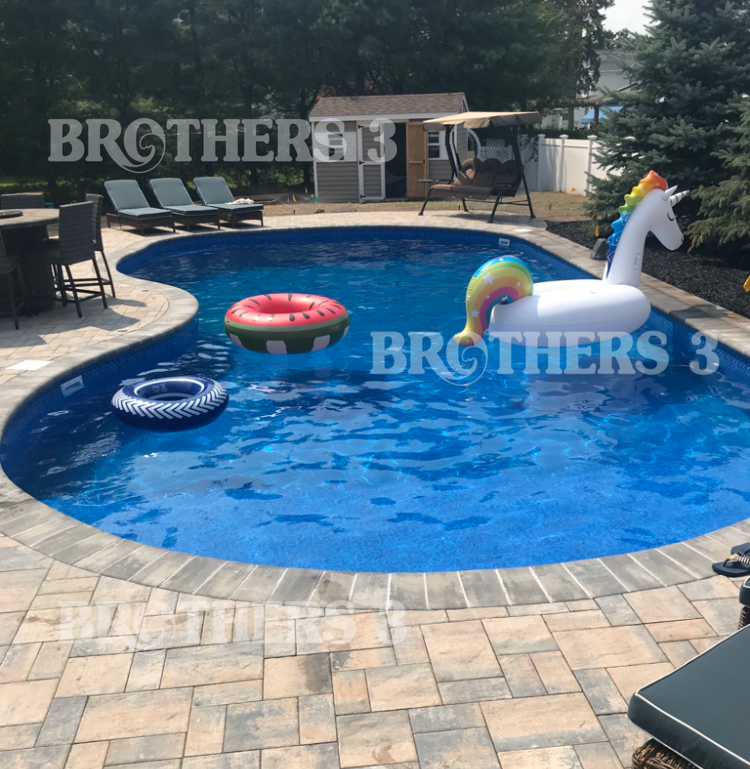 Kidney - 18x36 01.PNG