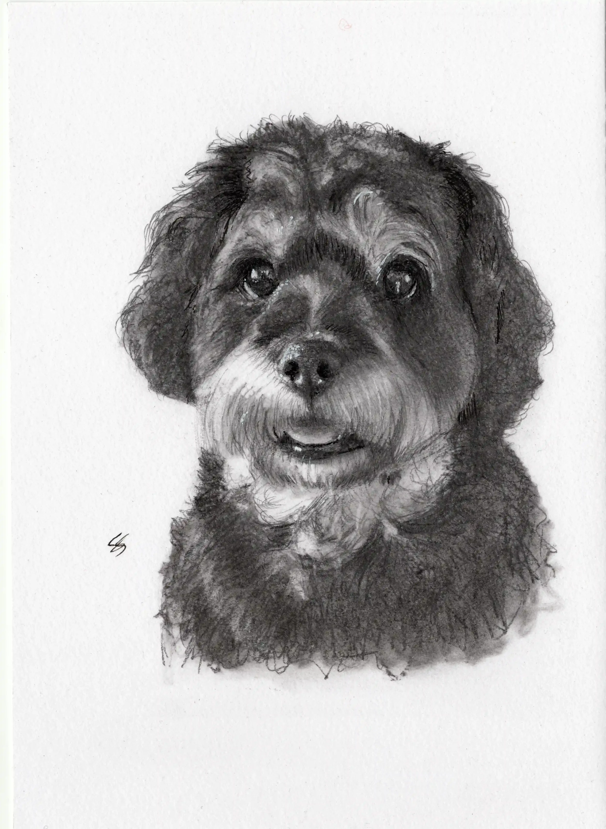 Fast&Freestyle - A5 Size - from £65