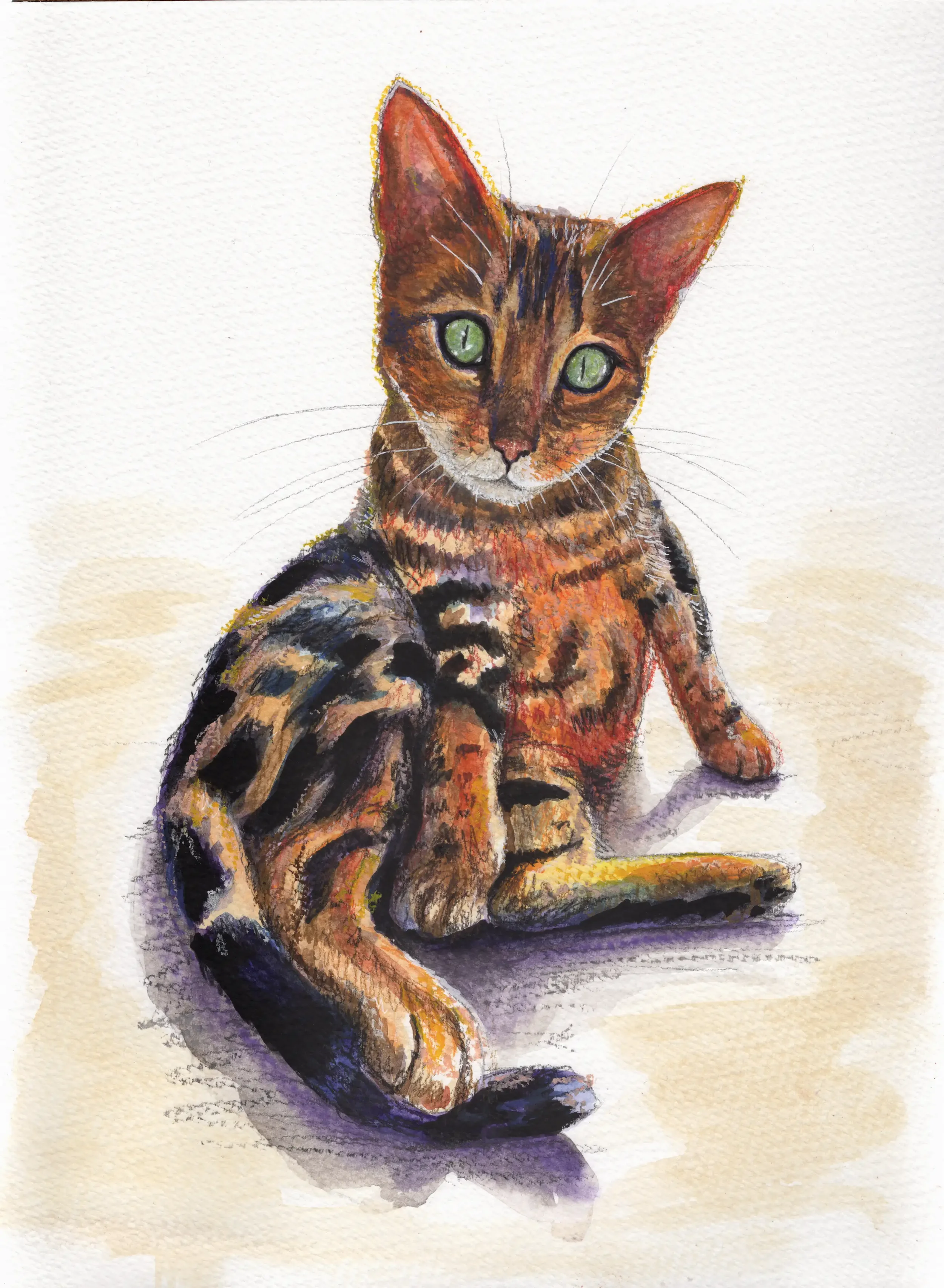 24 Emma & Oscar A4 Playful Pawtrait.webp