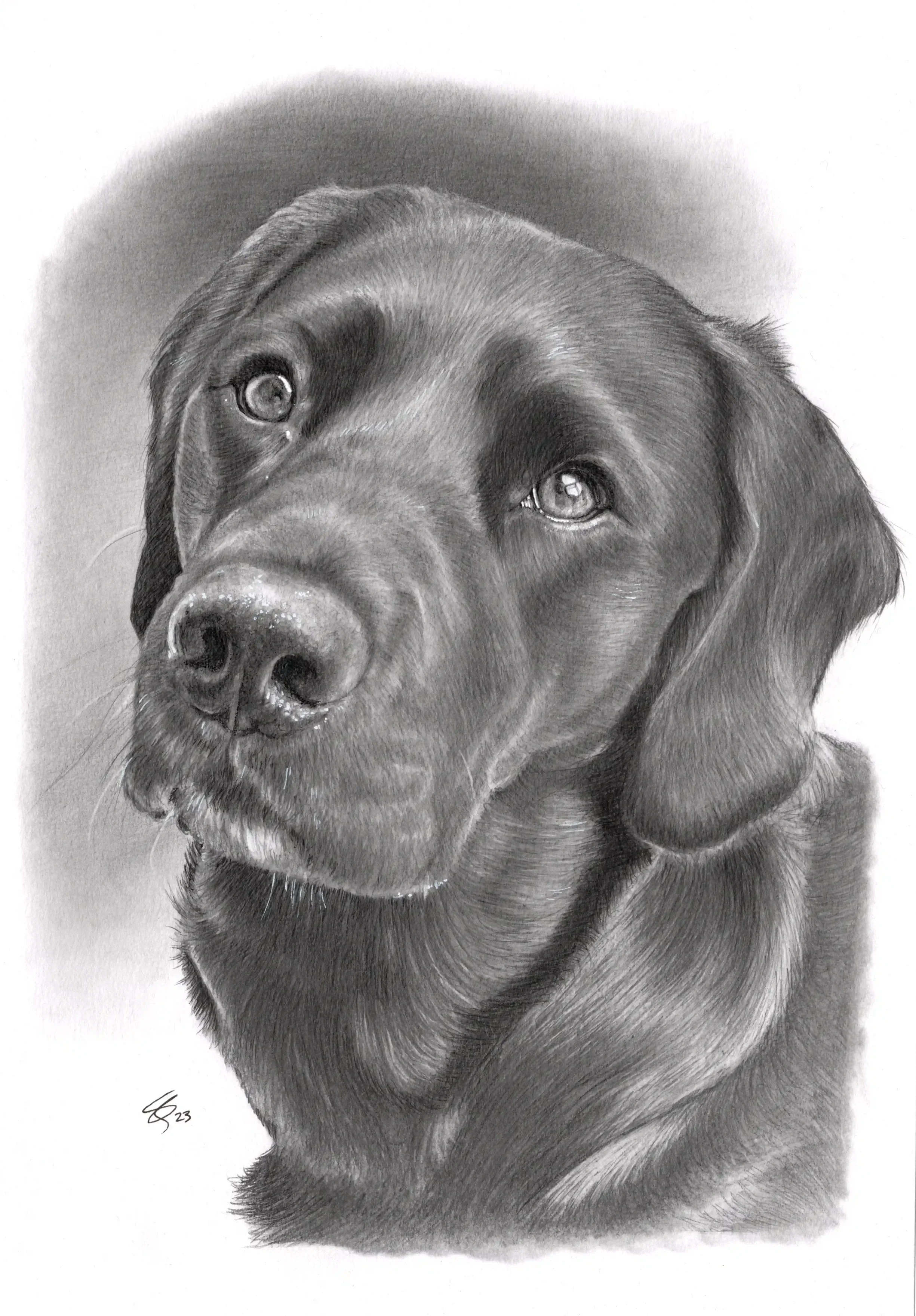 Graphite Portrait - A4 Size - from £110