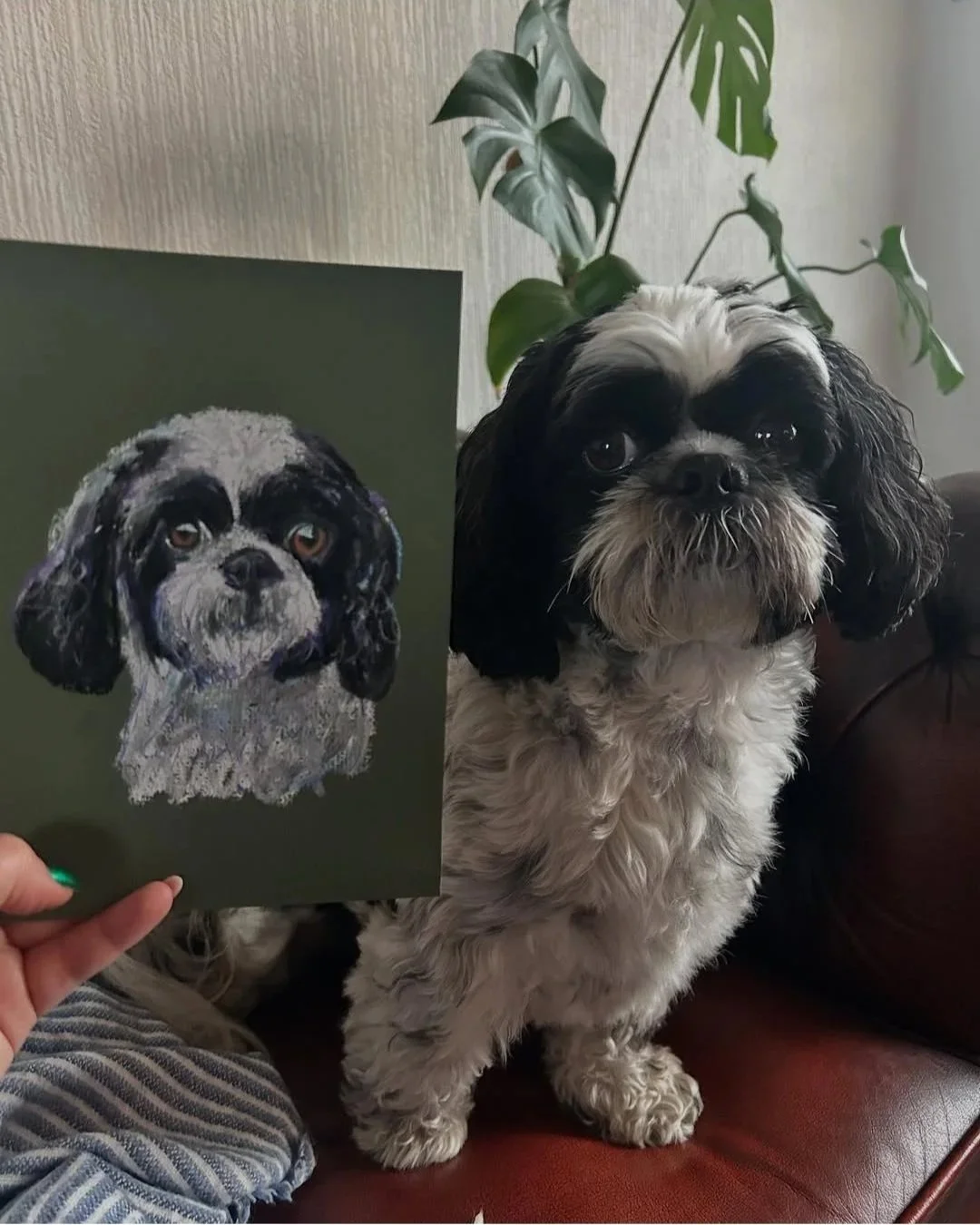 A photograph of a dog sitting on a brown couch next to a green plant, holding a chalk portrait that depicts the dog's face.