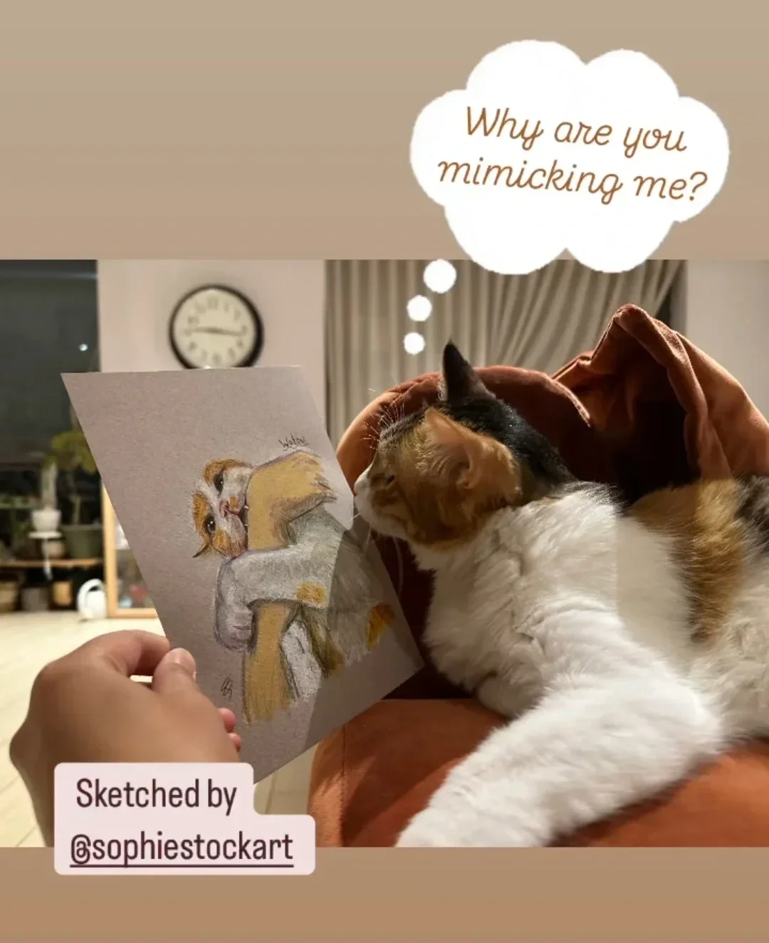 A cat lying on a person's lap, looking at a piece of paper with a sketch of a feline. There is a clock on the wall in the background. The picture includes a speech bubble saying, 'Why are you mimicking me?' and a caption indicating it was sketched by