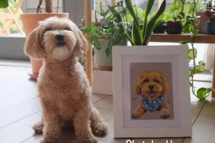 A small, fluffy beige dog sitting on a tiled floor indoors, next to a framed photo of the same dog wearing a blue bandana, with green plants in the background.