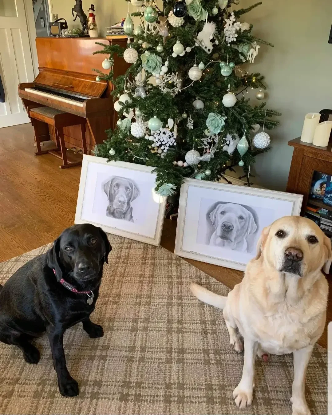 A decorated Christmas tree with white ornaments, flowers, and animal ornaments in a living room setting. Two framed dog portraits are leaning against the wall, and the two dogs featured - one black and one yellow - sit on a rug in the foreground.