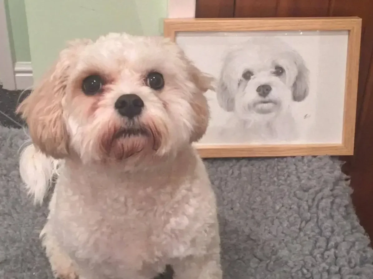 A small dog with curly fur sitting on a gray textured surface in front of a framed pencil sketch of the same dog.