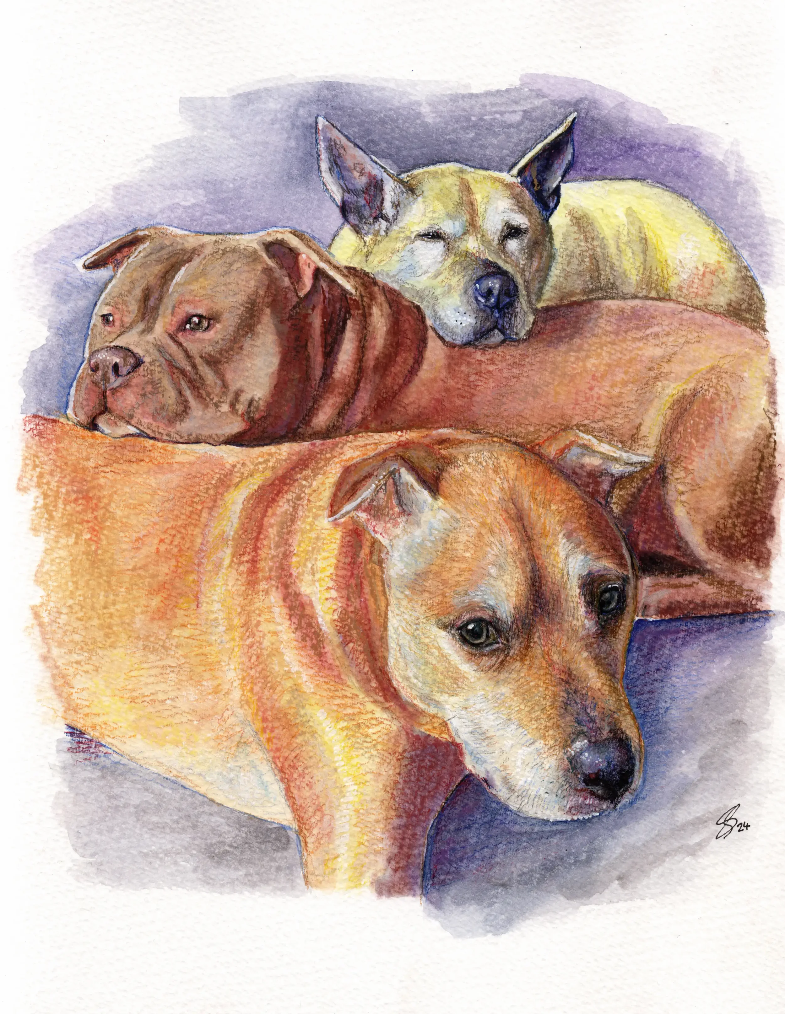 Playful Pawtrait - A4 Size - from £125