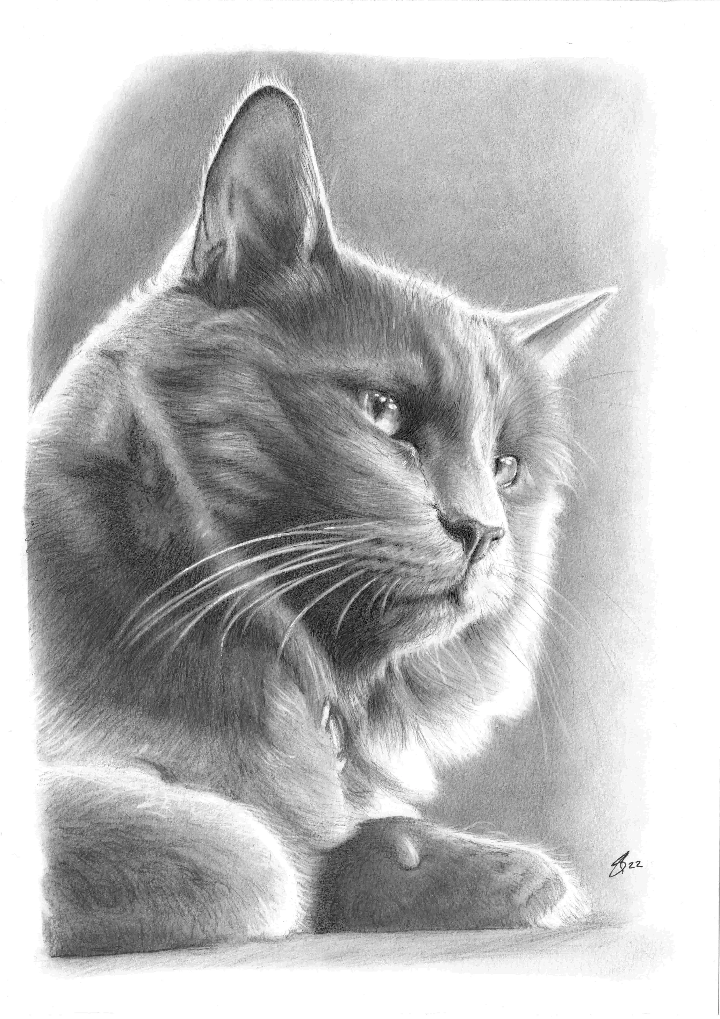 22 Veni - Zeus SCAN.jpg