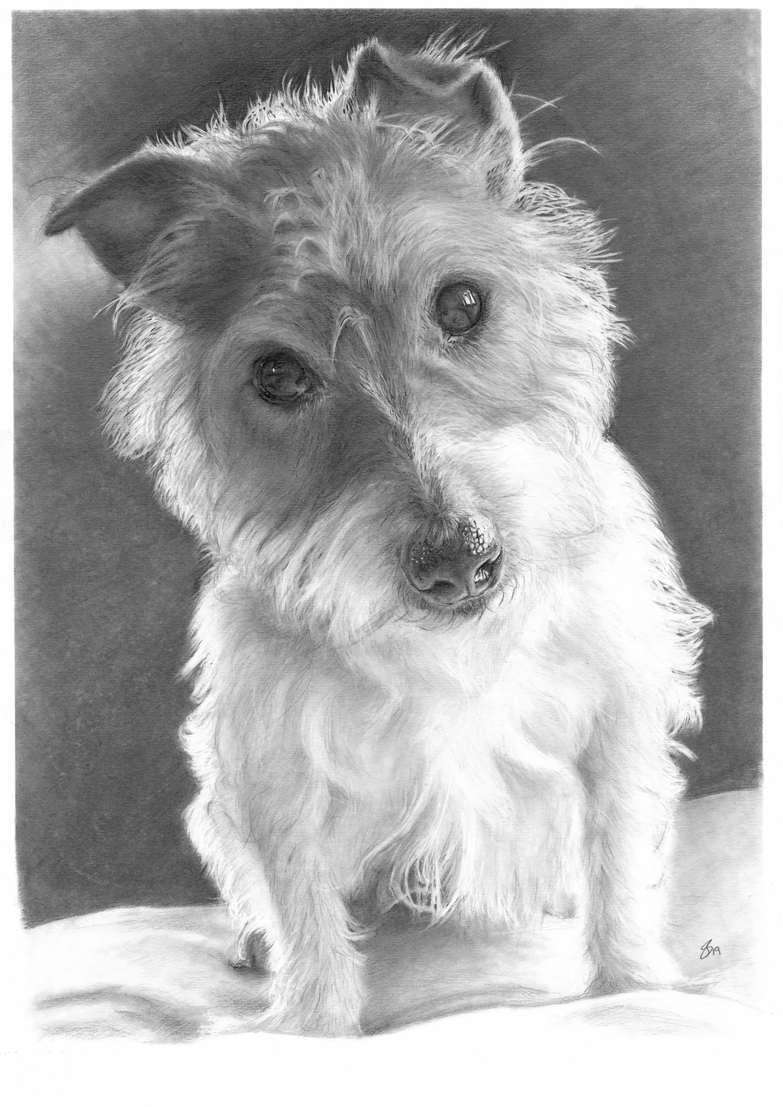 19 Woody A3 Graphite Sketch - Copy.webp