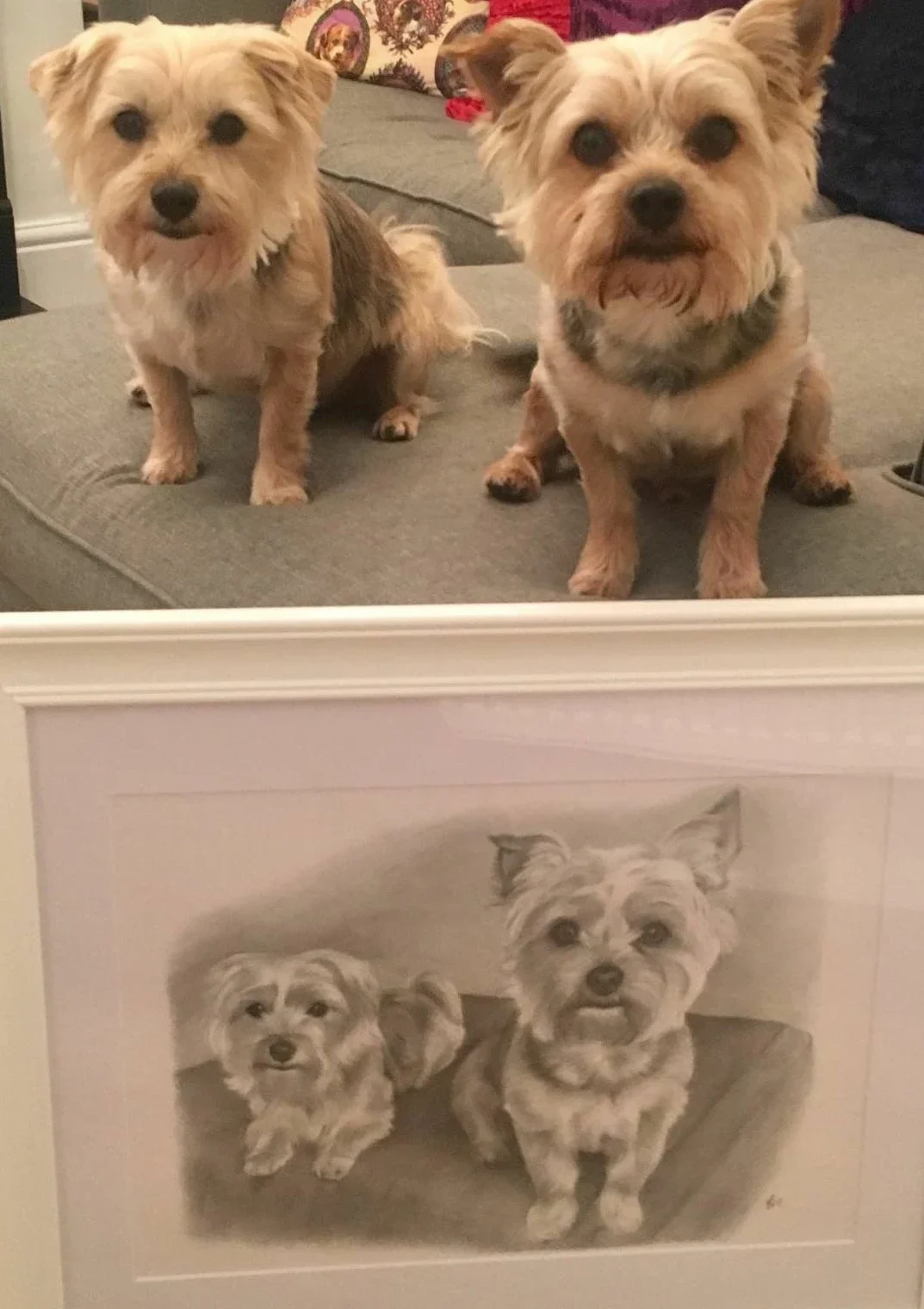 Photograph of two small dogs sitting on a couch. Below the photo, there is a framed black-and-white drawing of the same dogs.