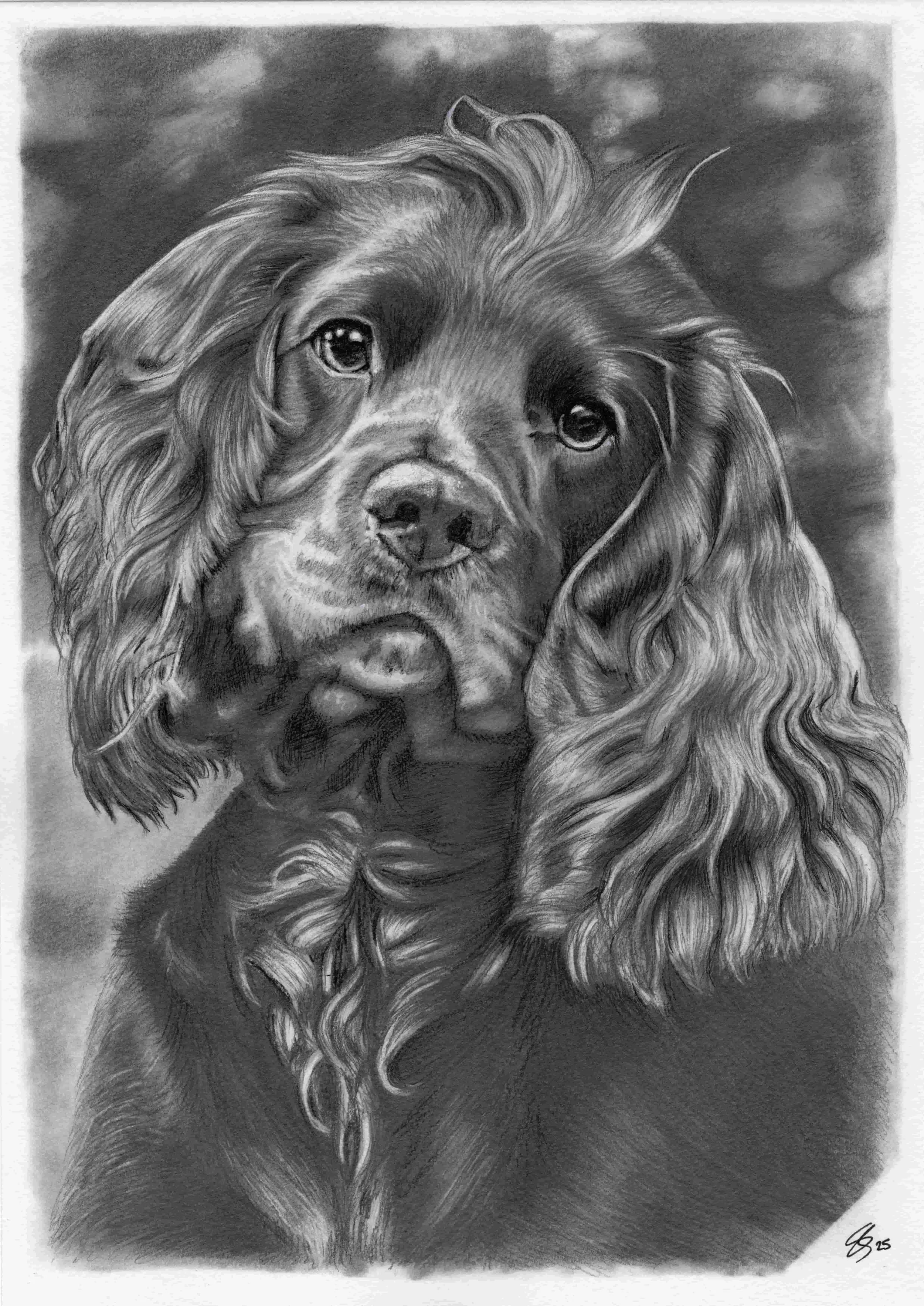 25 Aunty Claire's friend A4.jpg