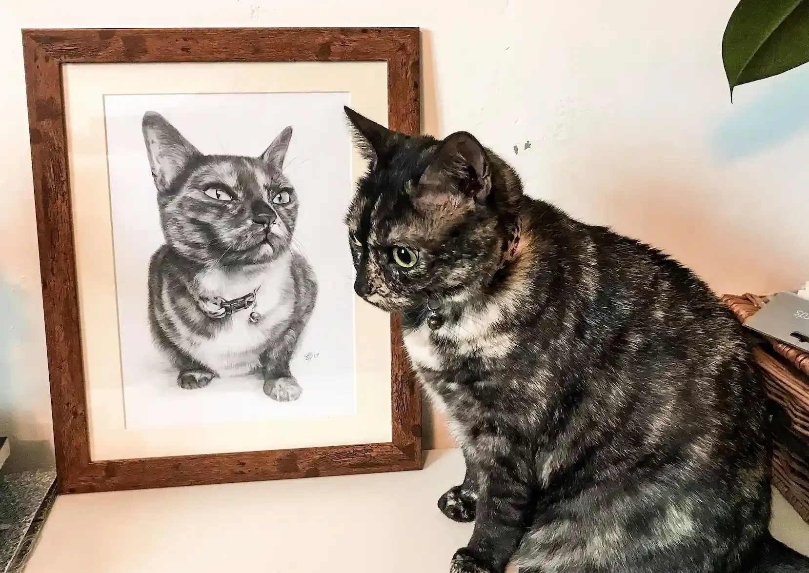 Photograph of a real tabby cat with a collar, sitting next to a framed black and white drawing of the same tabby cat with a collar, on a flat surface.