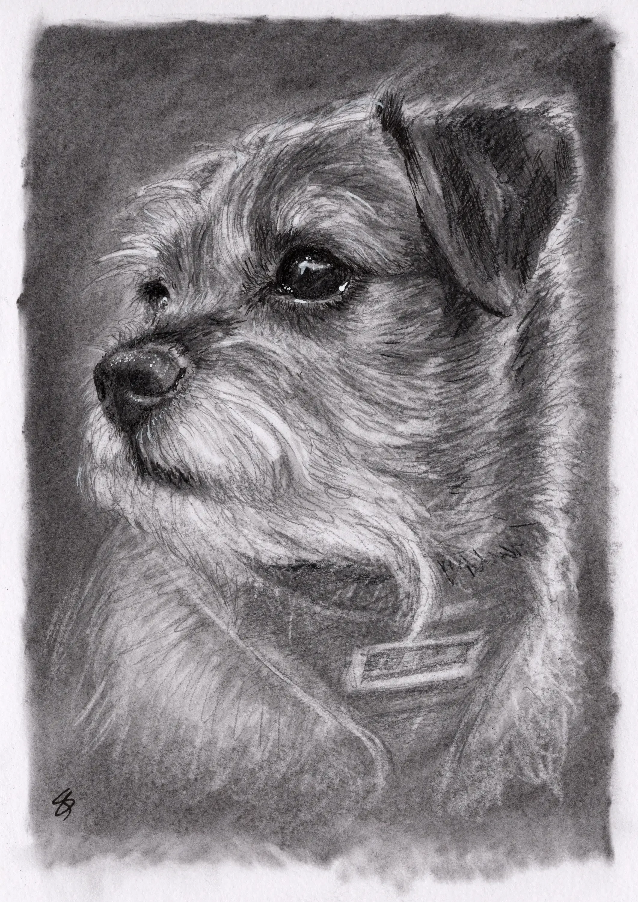 25 Claire Henderson F&F A5.webp