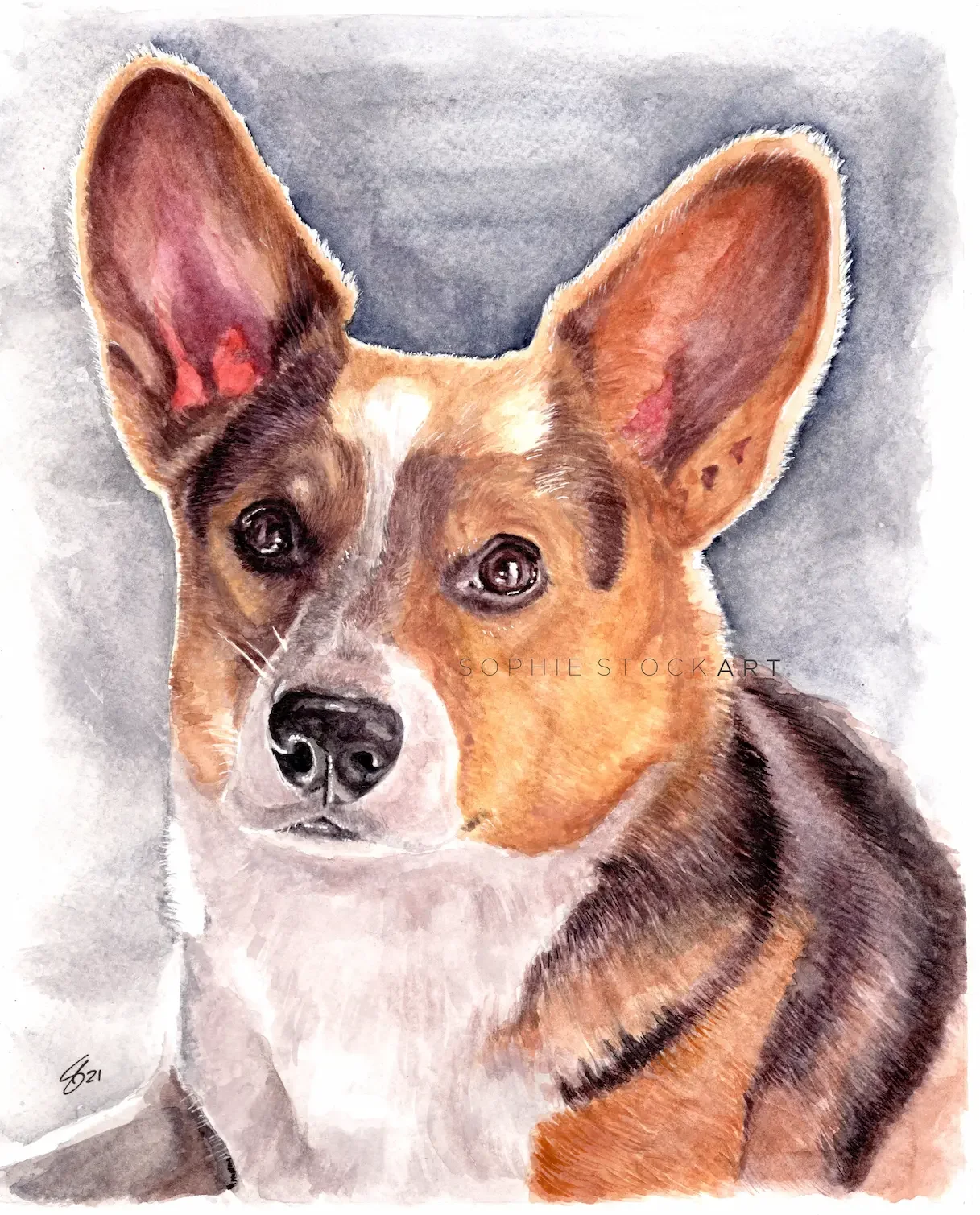 Watercolour Portraits