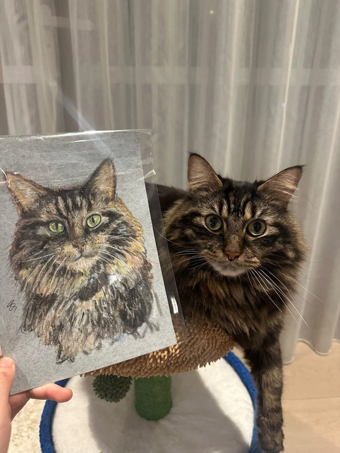 A tabby cat with green eyes sitting on a cat tree next to a Quick&Quirky chalk portrait of the same cat.