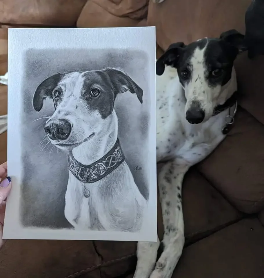 Photo of a dog sitting on a brown couch next to a black-and-white portrait of the same dog, drawn in pencil or charcoal.