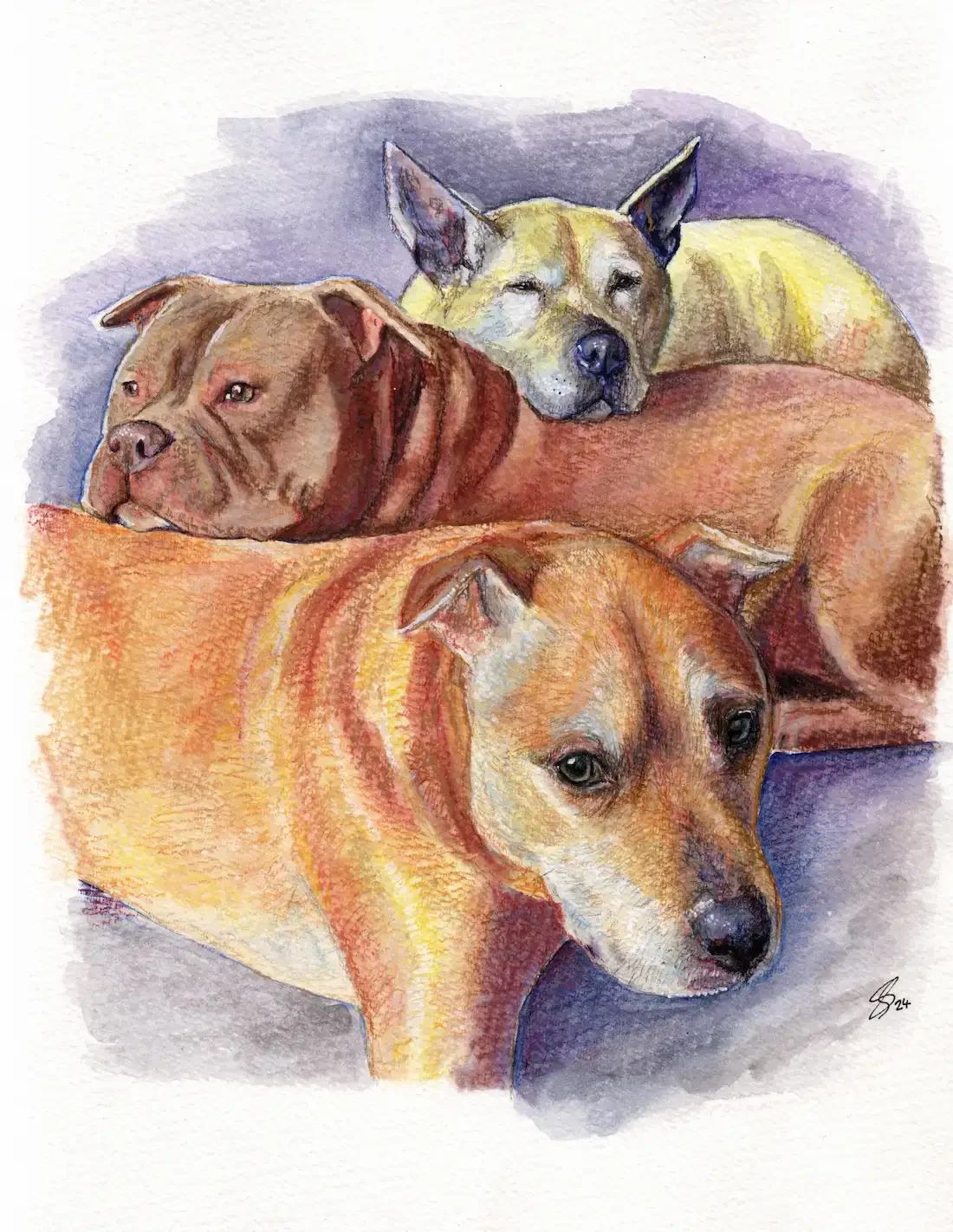 Playful Pawtrait - a mixed media pet portrait of Roxy, Taz and Kingston on A4 Size - from £125