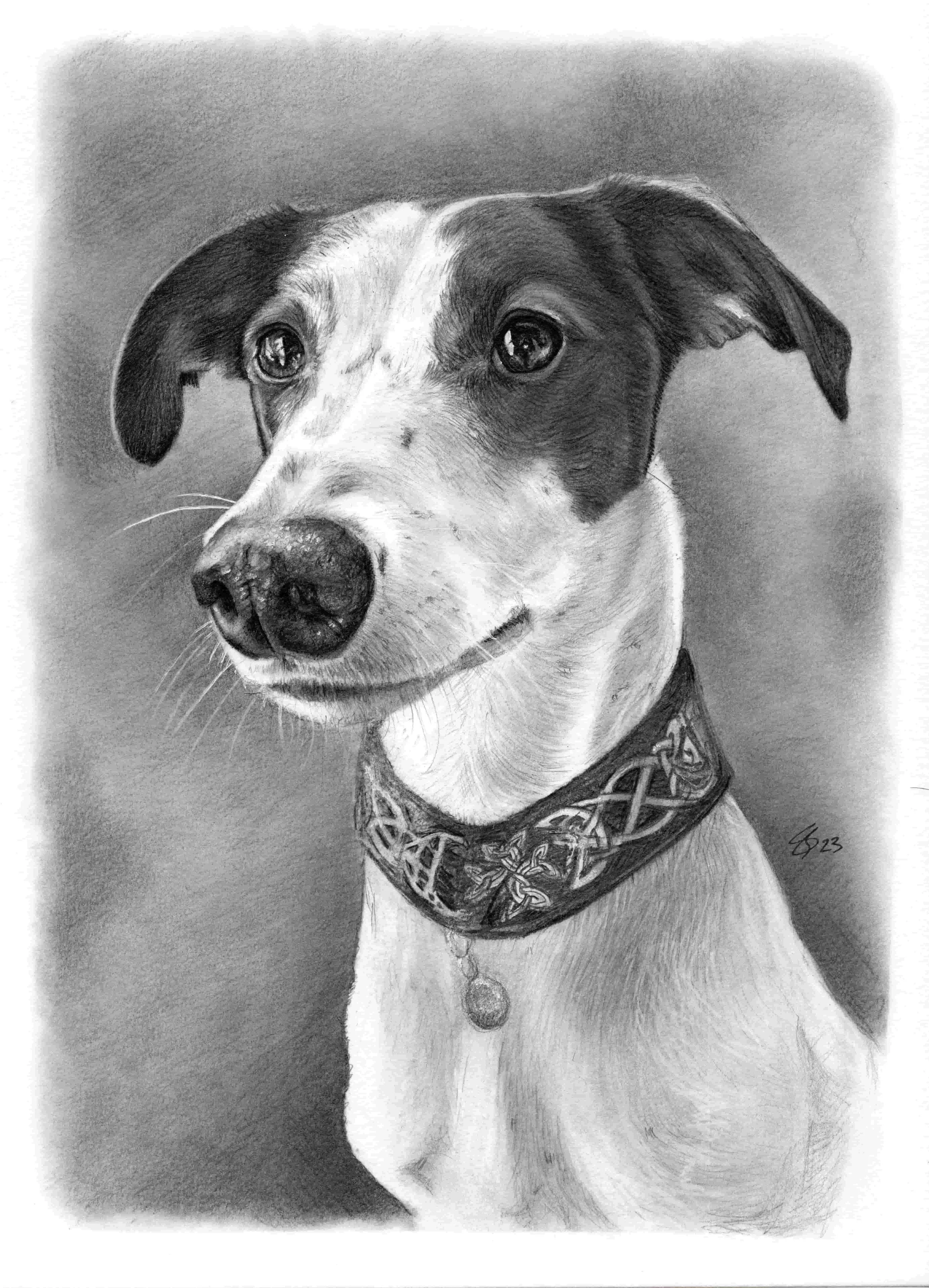 23 Danae Mayo - Loki A4.jpg