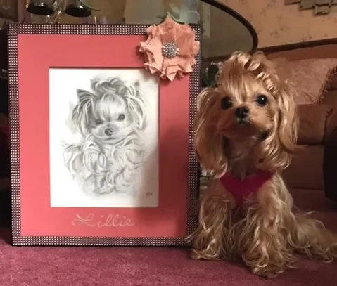 A small dog sitting next to a framed pencil sketch of the same dog, decorated with a pink flower and a pink mat, with the name 'Lillie' written at the bottom.