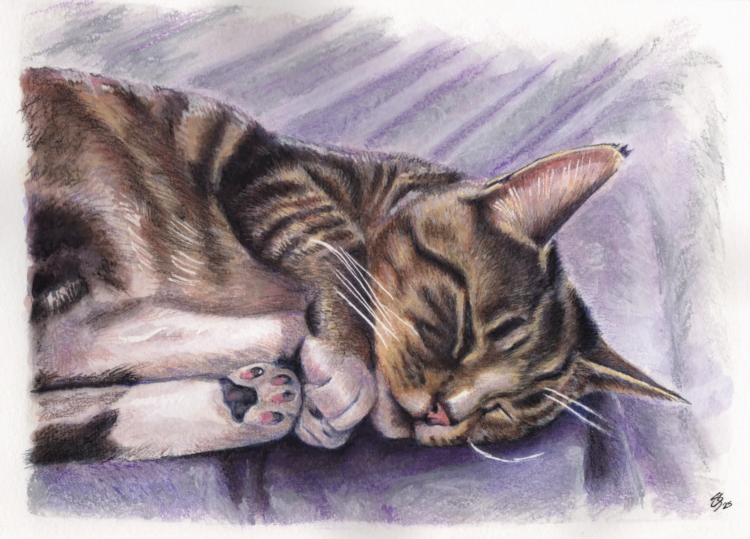 Playful Pawtrait - A4 Size - From £125