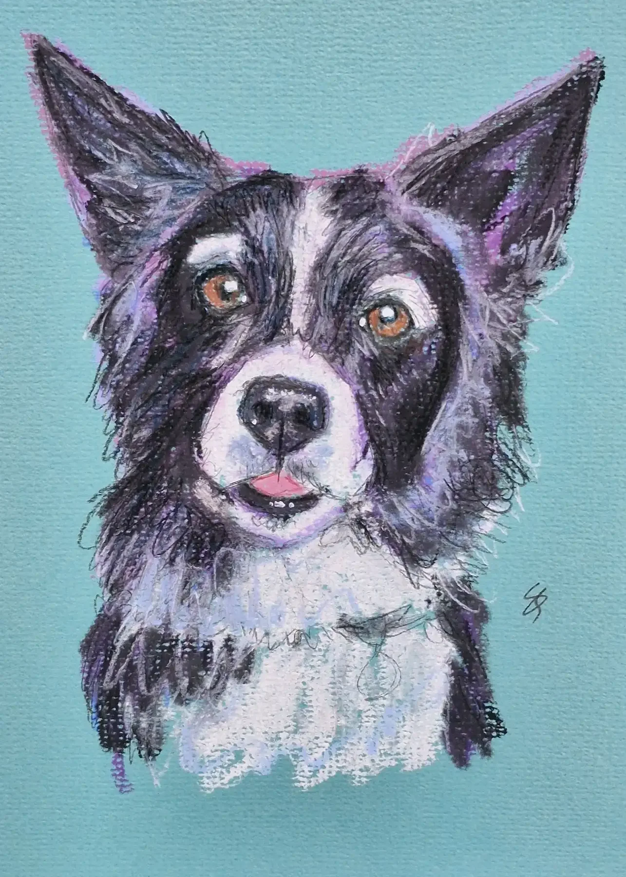 Quick&Quirky Pet Portrait  - Colourful chalk sketch on A5 size - from £45
