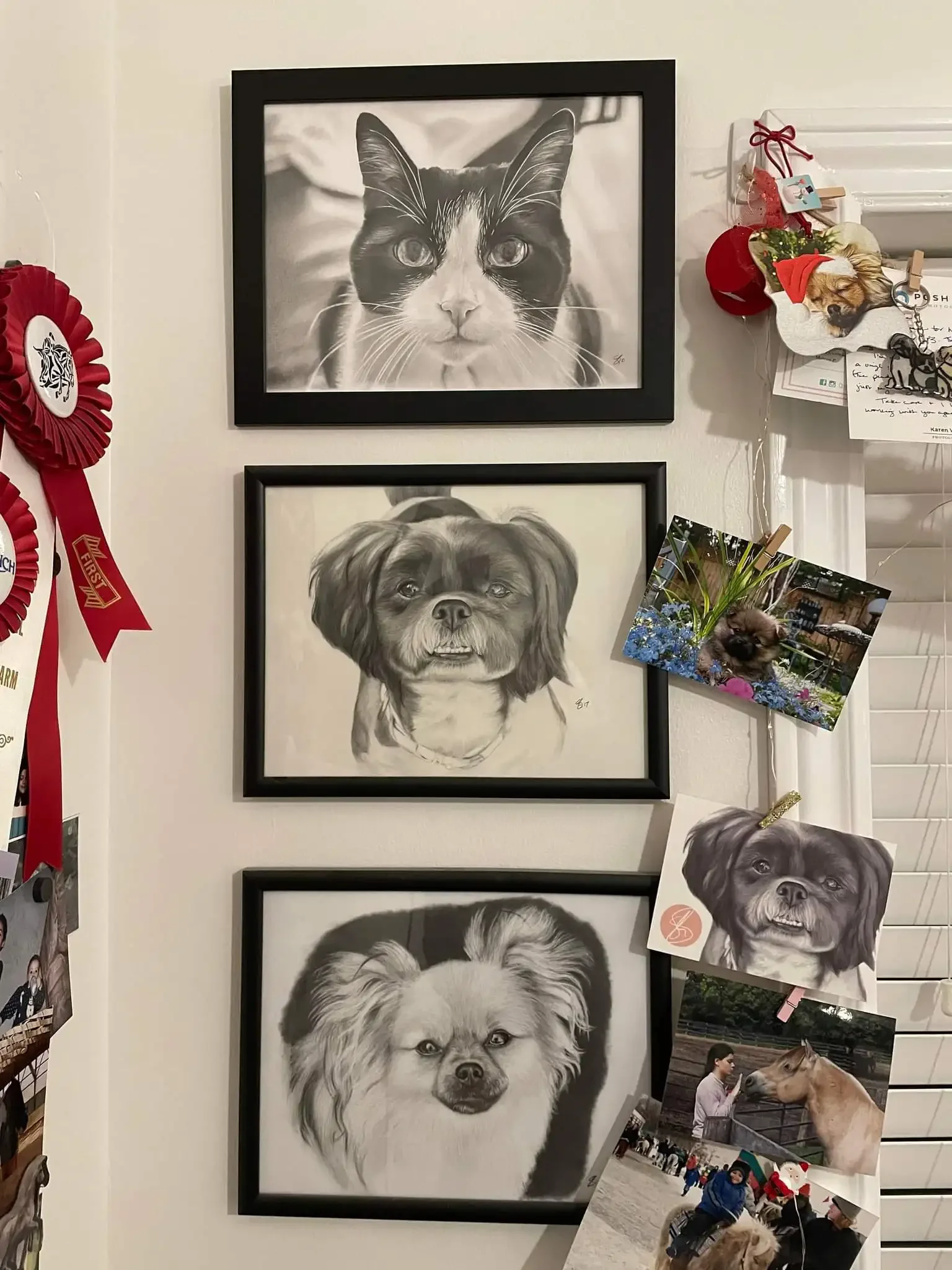 Black and white framed portraits of two different dogs and one cat hanging on a wall, with some photographs and decorations around them. Oreo, Molly, and Milo. A4 Graphite Portraits.