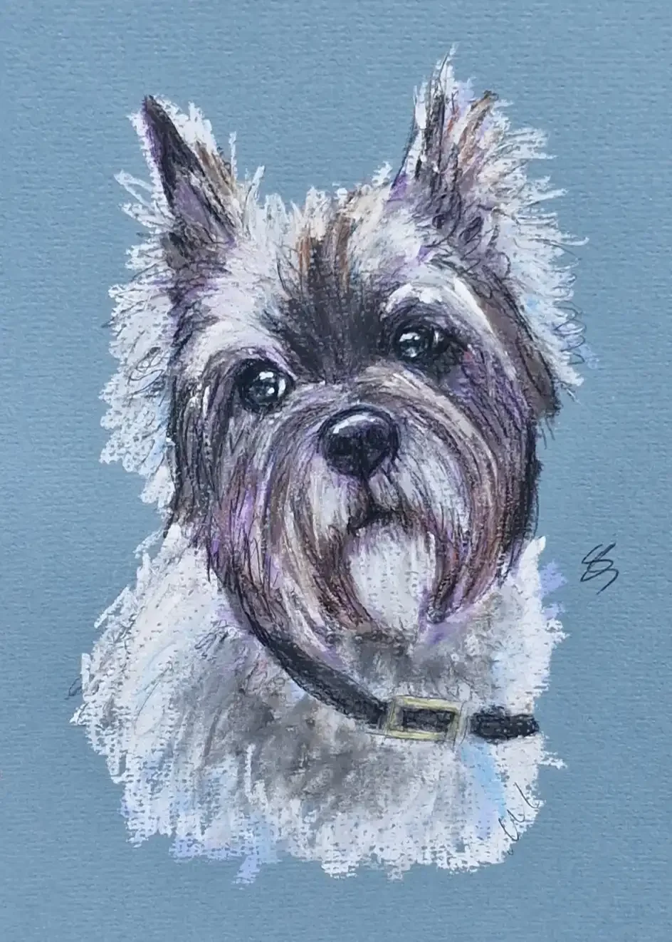 Quick&Quirky Pet Portrait - A5 Size -from £45