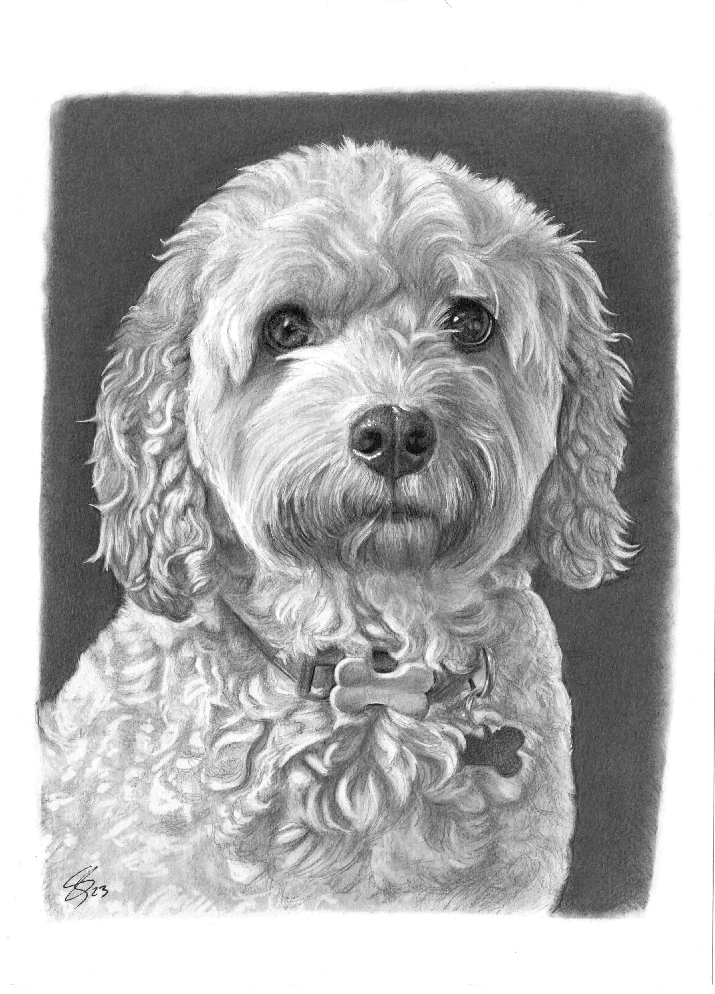 23 - Chris Hallmark A4.jpg