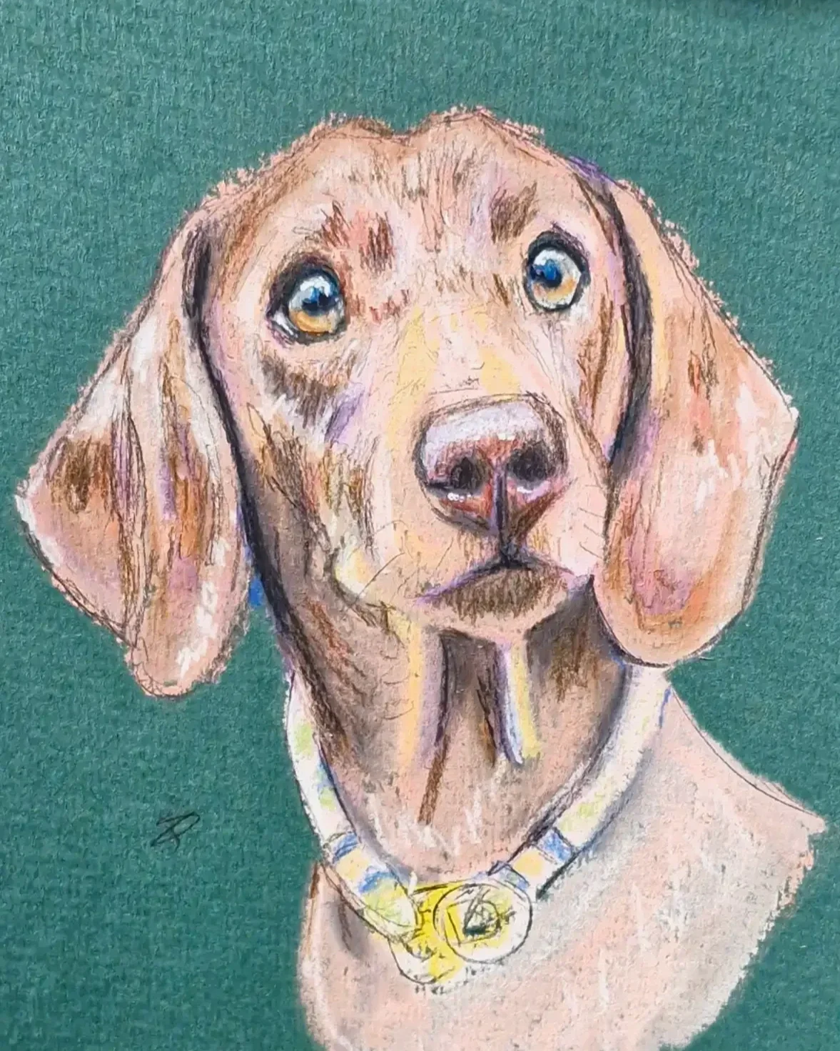 Quick&Quirky Pet Portraits