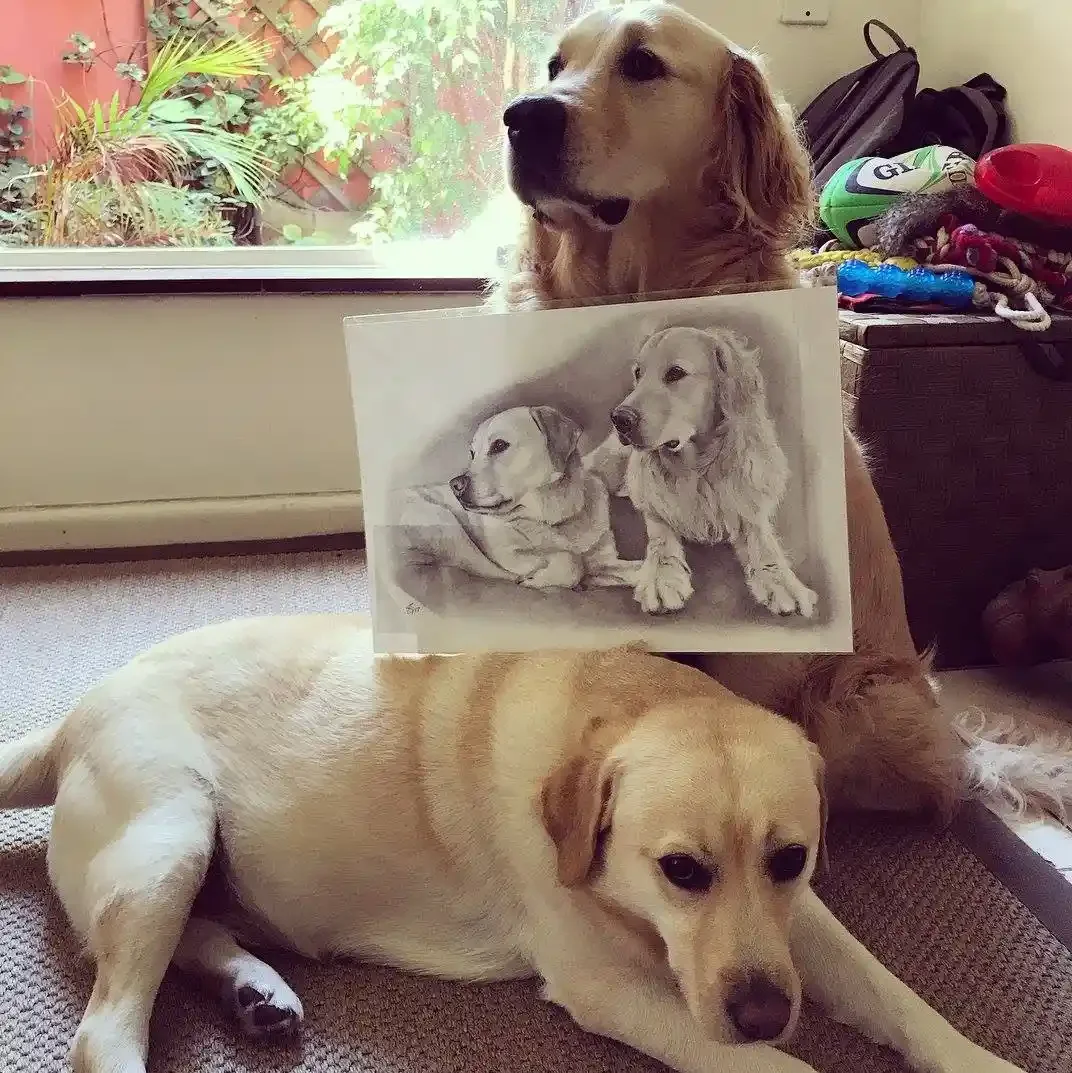 Two dogs, one lay down and one sitting, are positioned in front of a window. Balanced between the two dogs is an A3 sized graphite portrait of the same dogs, in a similar position. Max & Cally, A3 Graphite, South Africa.