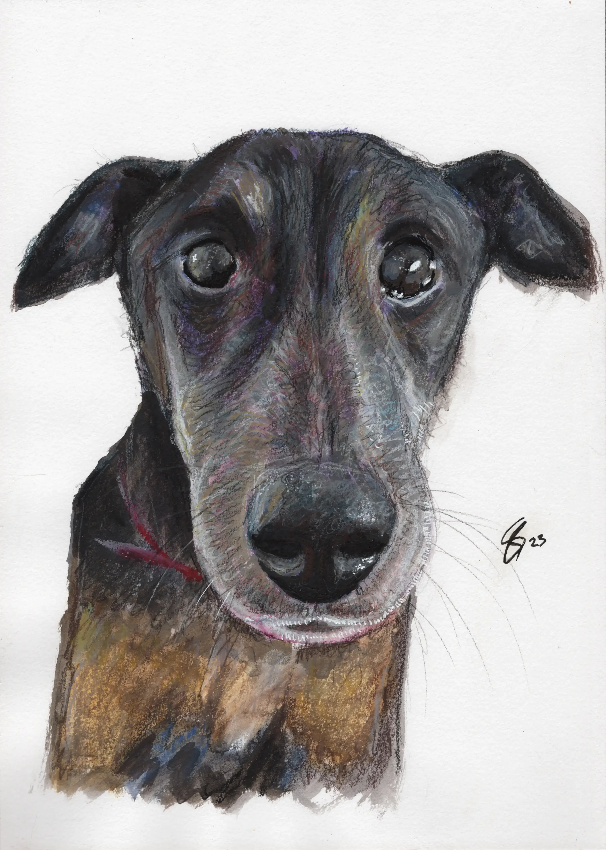 23 Suzie (Qatar) A4 Playful Pawtrait.webp