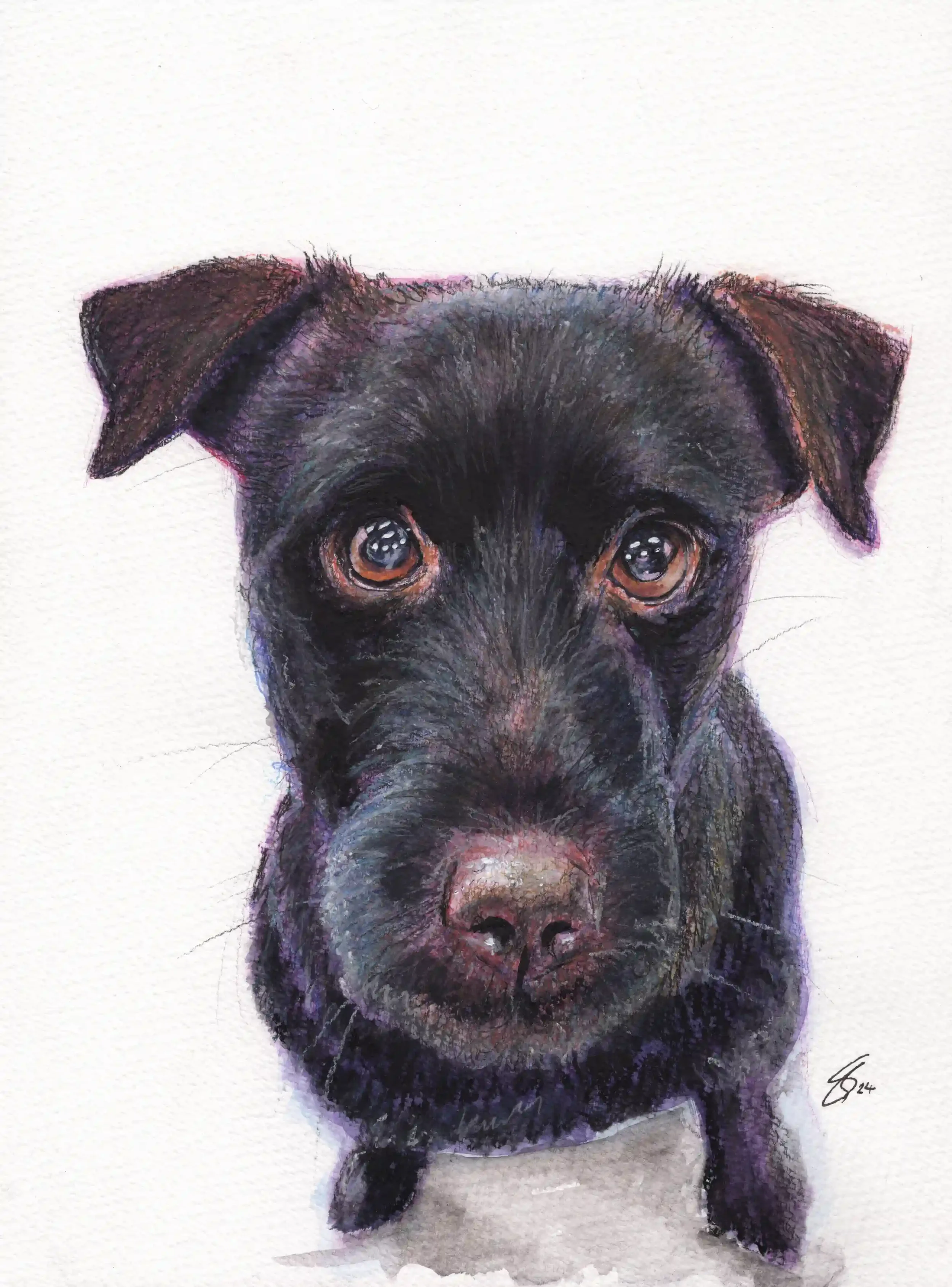 24 Yoshi - Ian Jackson A4 Playful Pawtrait.webp