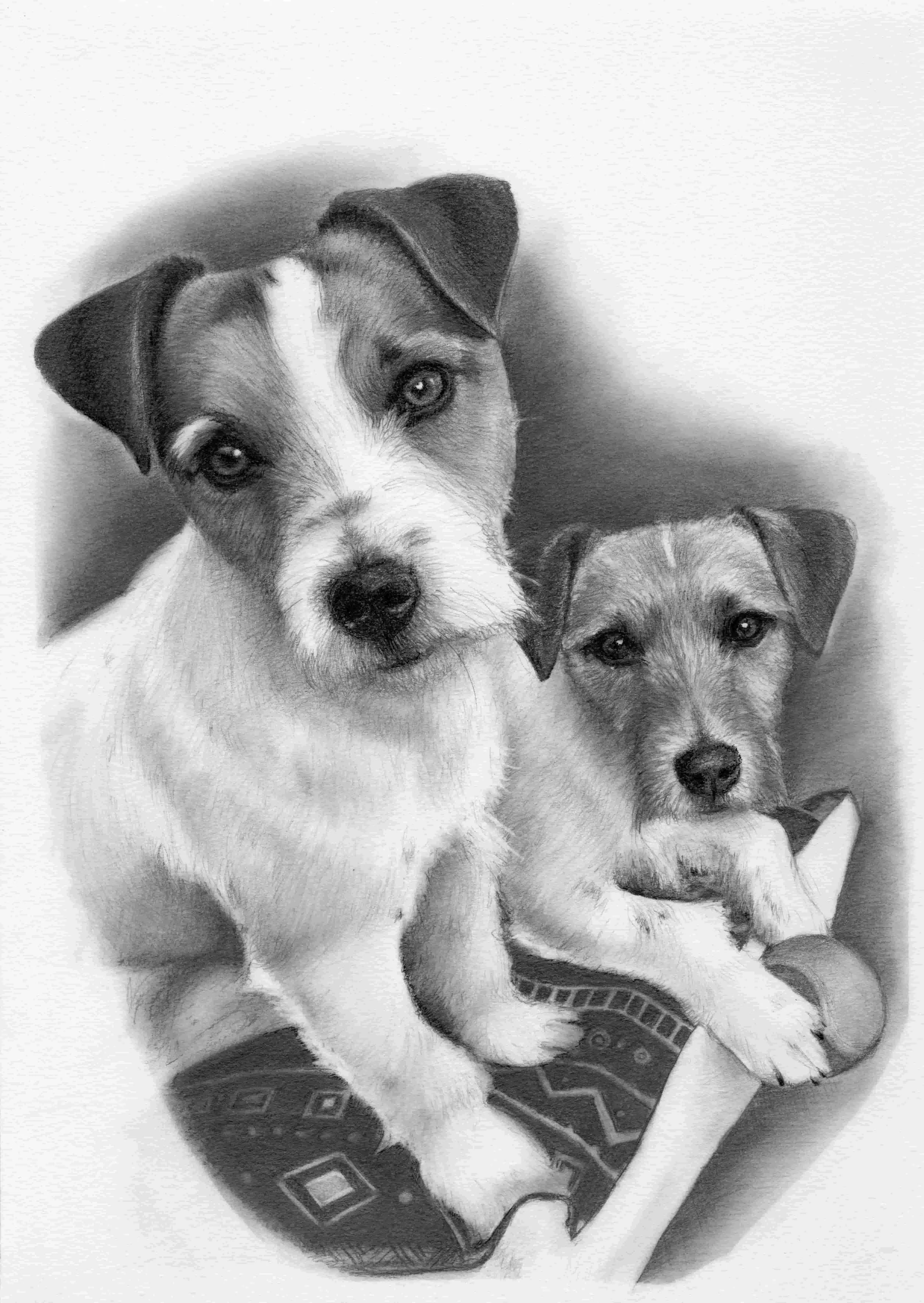 25 Archie&Charlie for David A4.jpg