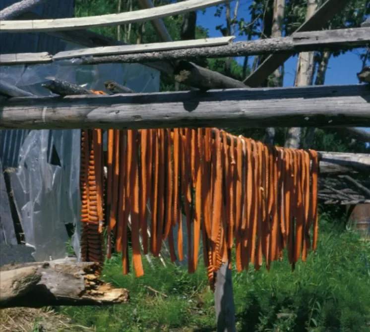 alASKA NATIVE FISHING RIGHTS ARE AT RISK!