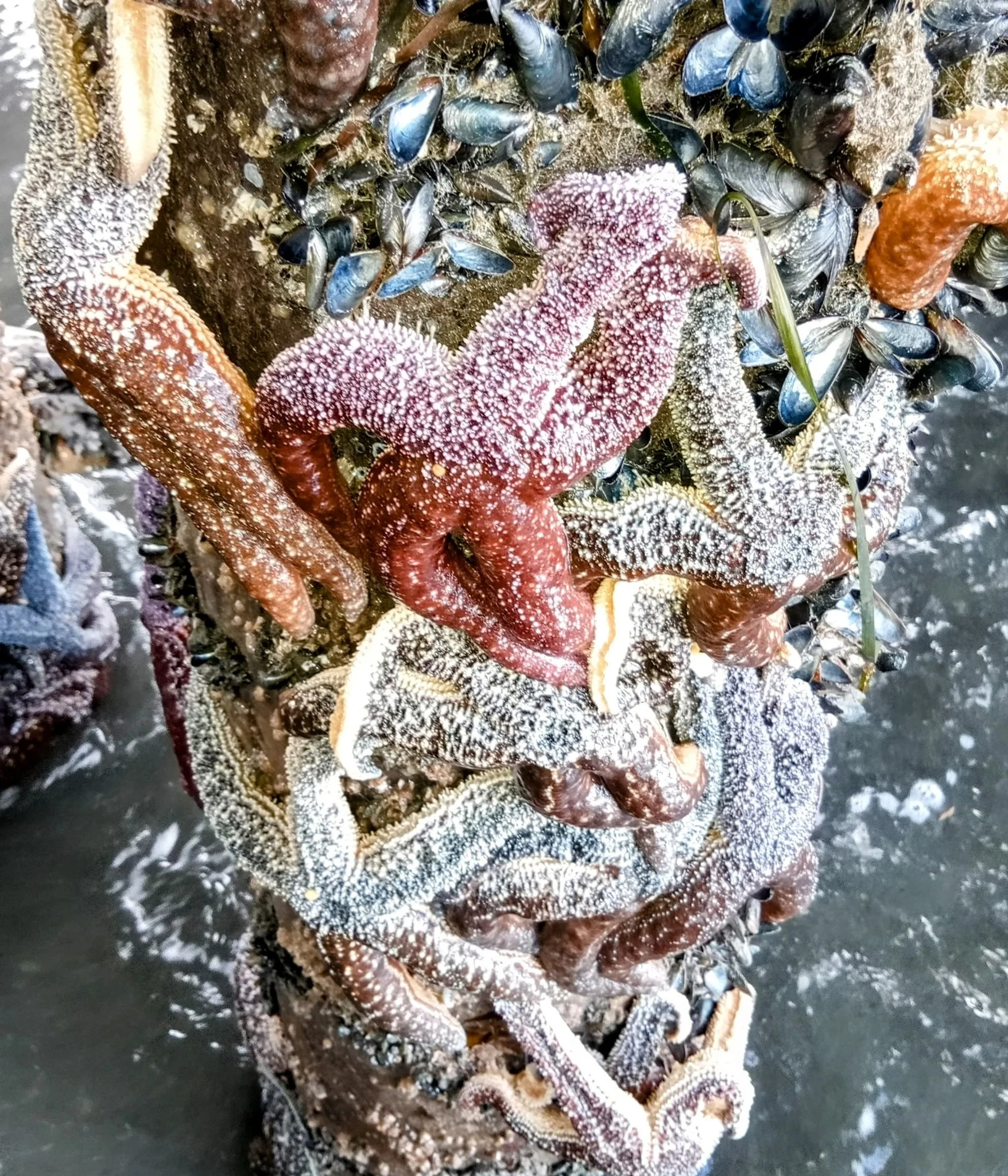 The Kachemak Bay Watershed Assessment &amp; ManaGEMENT Plan