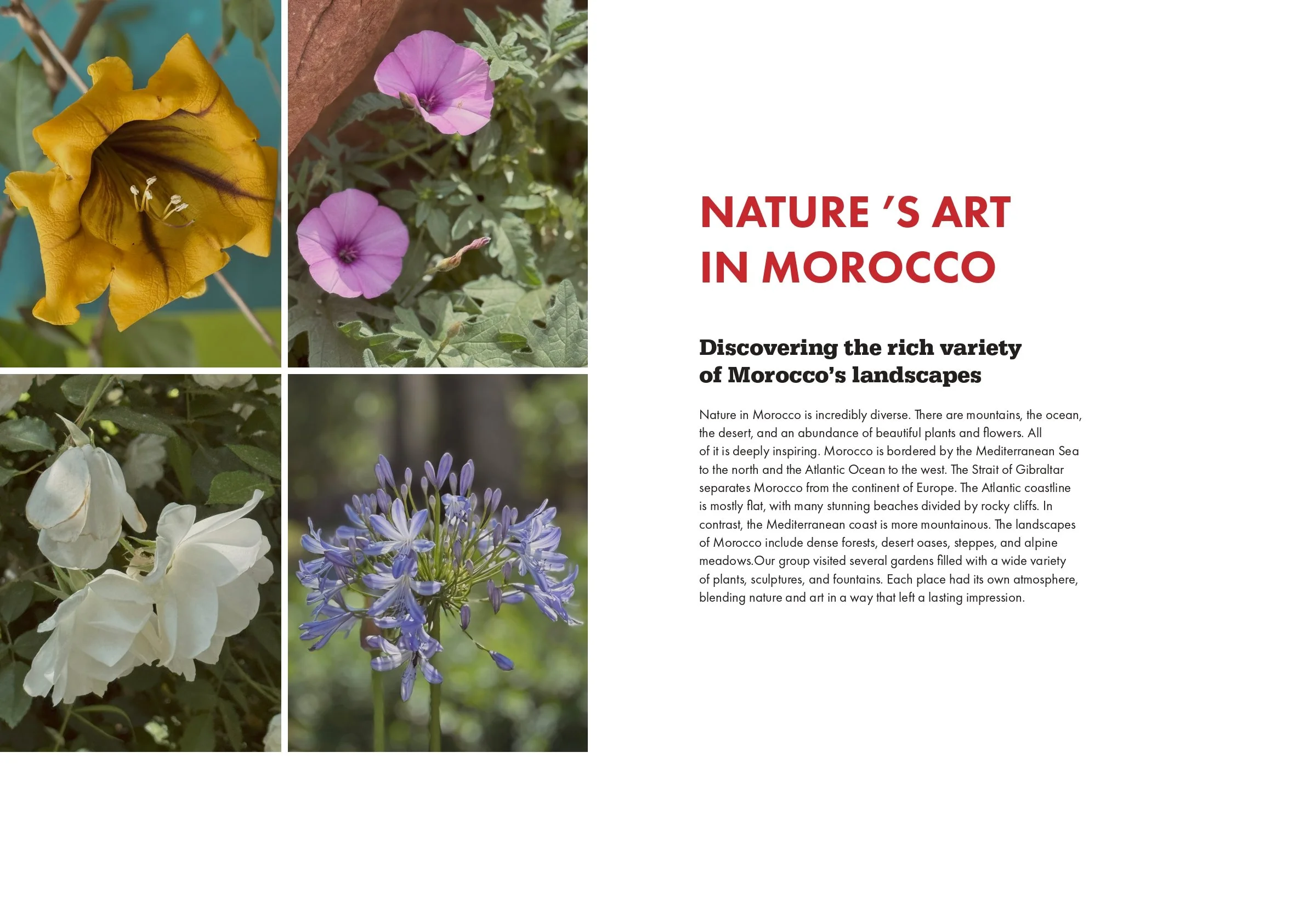 BOOK PAGES INSIDE final draft_page-0020.jpg