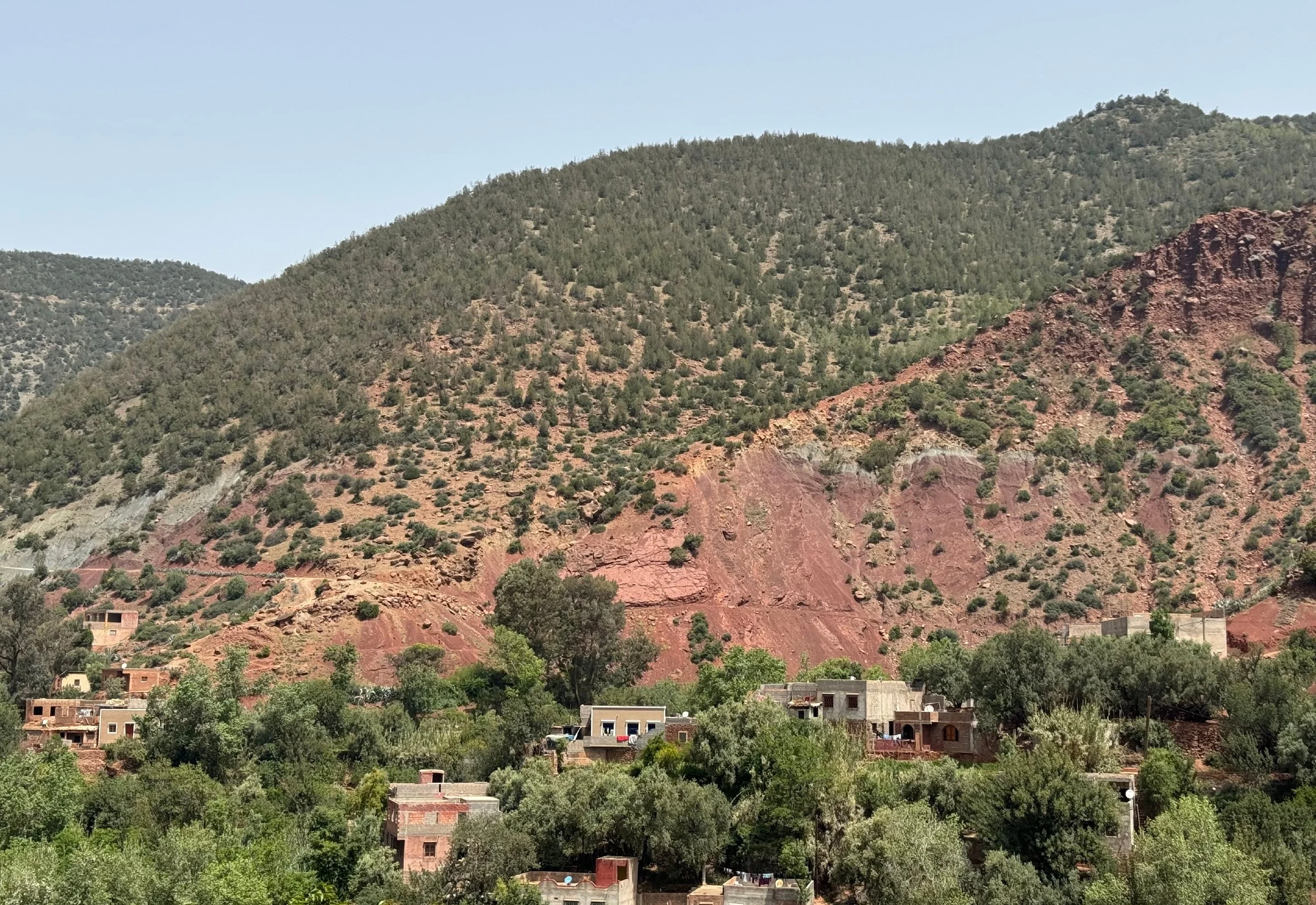 BOOK PAGES INSIDE final draft_page-0019.jpg