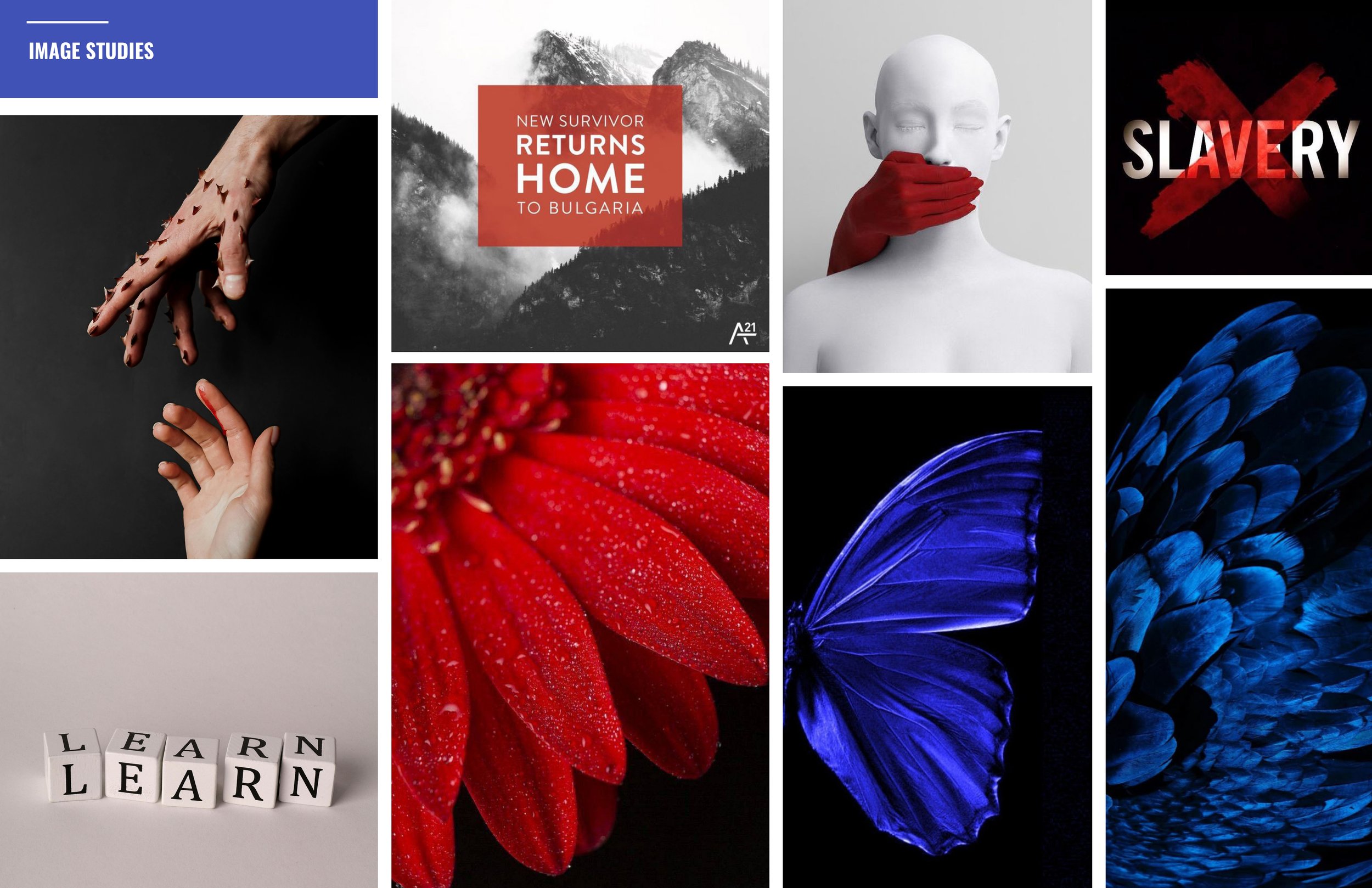 Anastasiia_Ishchuk_FINAL_CAMPAIGN PROCESS BOOK_DES4430_pages-to-jpg-0012.jpg