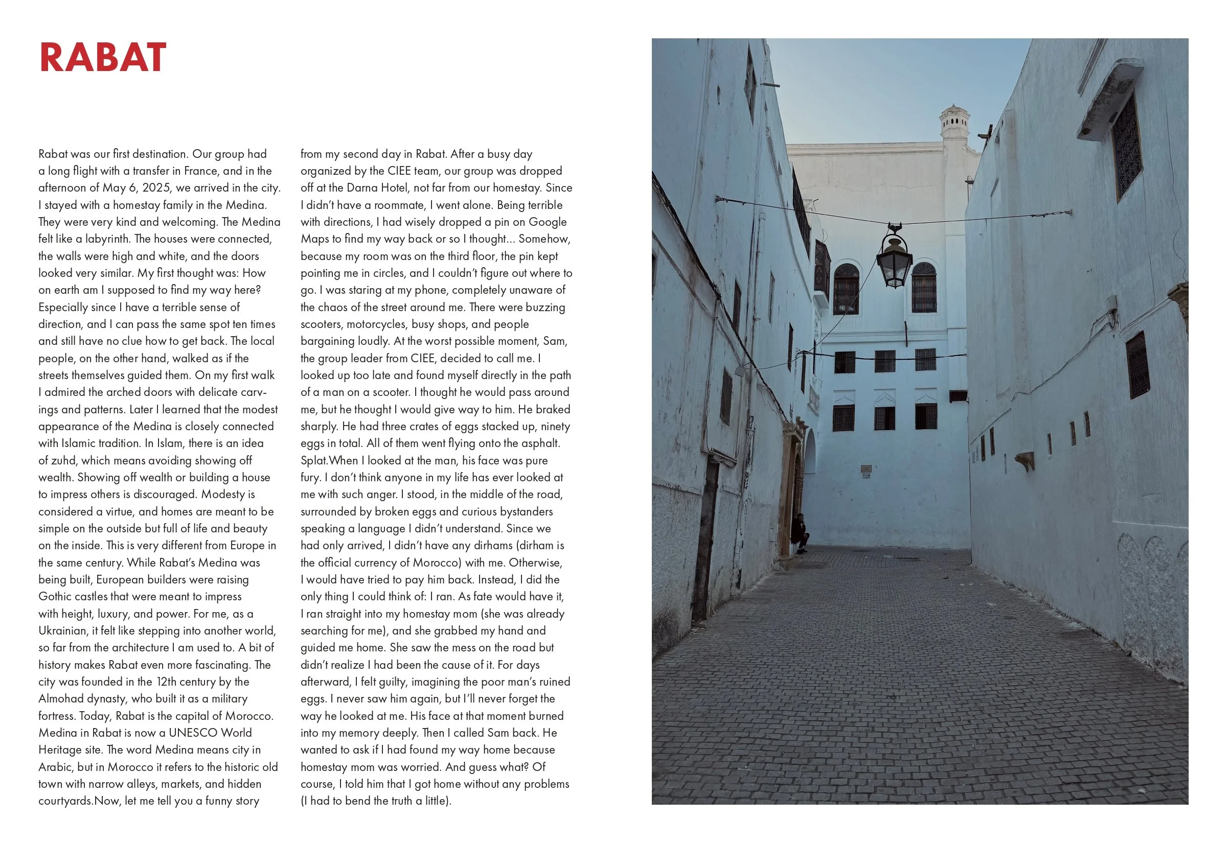 BOOK PAGES INSIDE final draft_page-0010.jpg